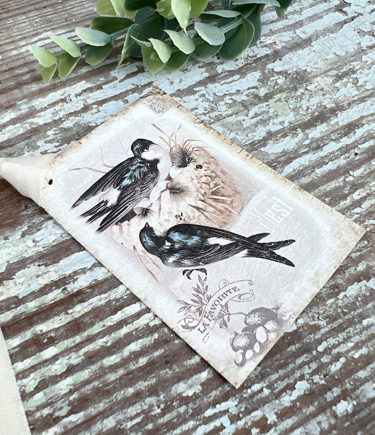 Birds with Nest Vintage Easter Gift Tags Natural History Book Page French Farmhouse Decor Card Shabby SET OF 8
