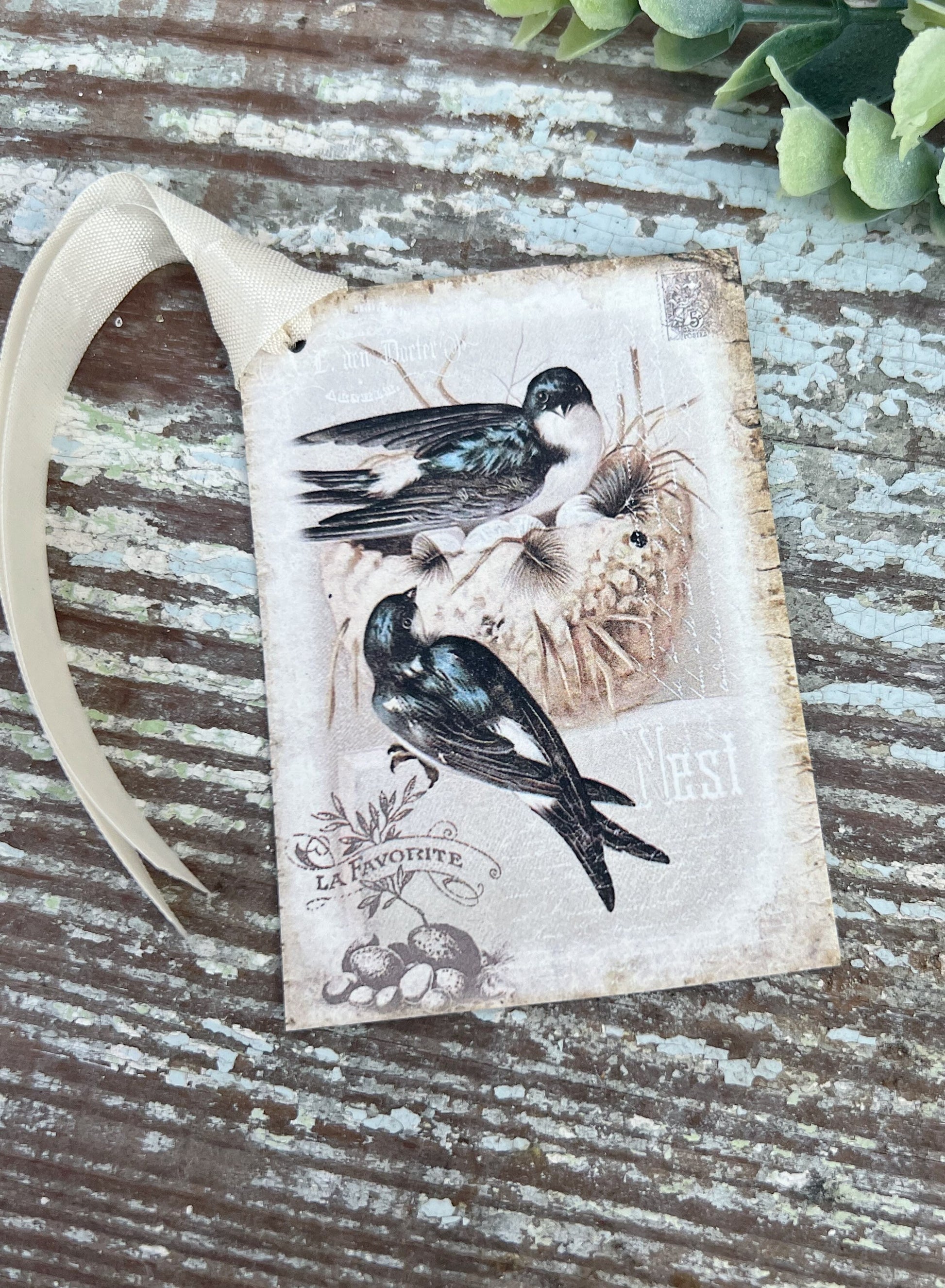 Birds with Nest Vintage Easter Gift Tags Natural History Book Page French Farmhouse Decor Card Shabby SET OF 8