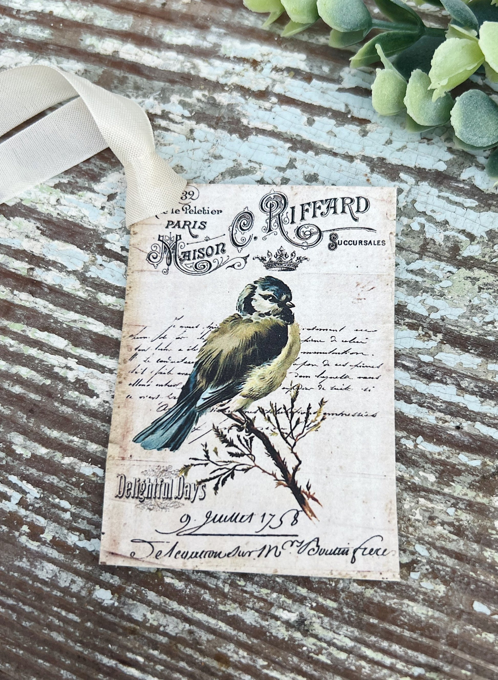 Bird Vintage Easter Gift Tags Natural History Book Page French Farmhouse Decor Card Shabby SET OF 8