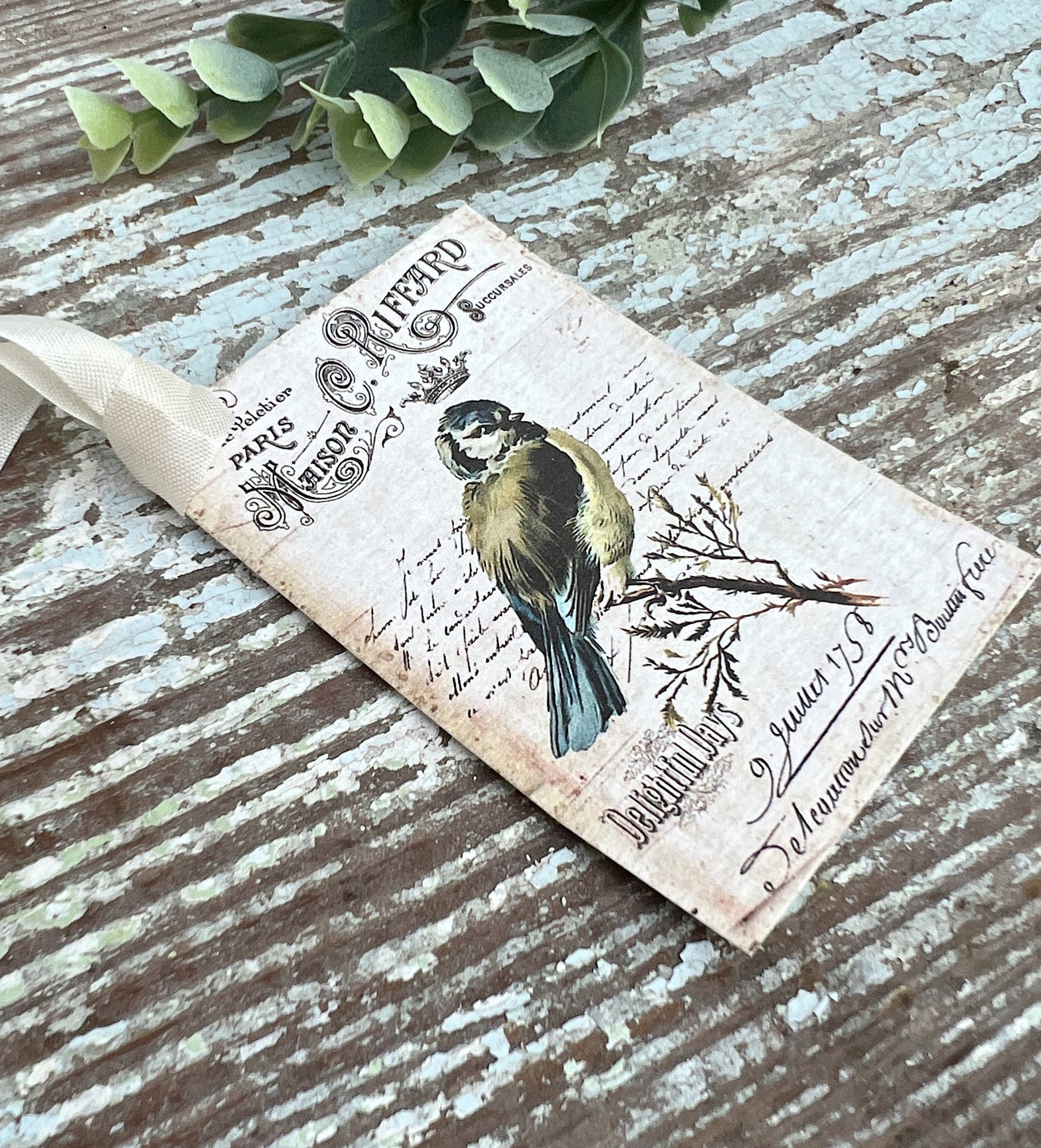 Bird Vintage Easter Gift Tags Natural History Book Page French Farmhouse Decor Card Shabby SET OF 8