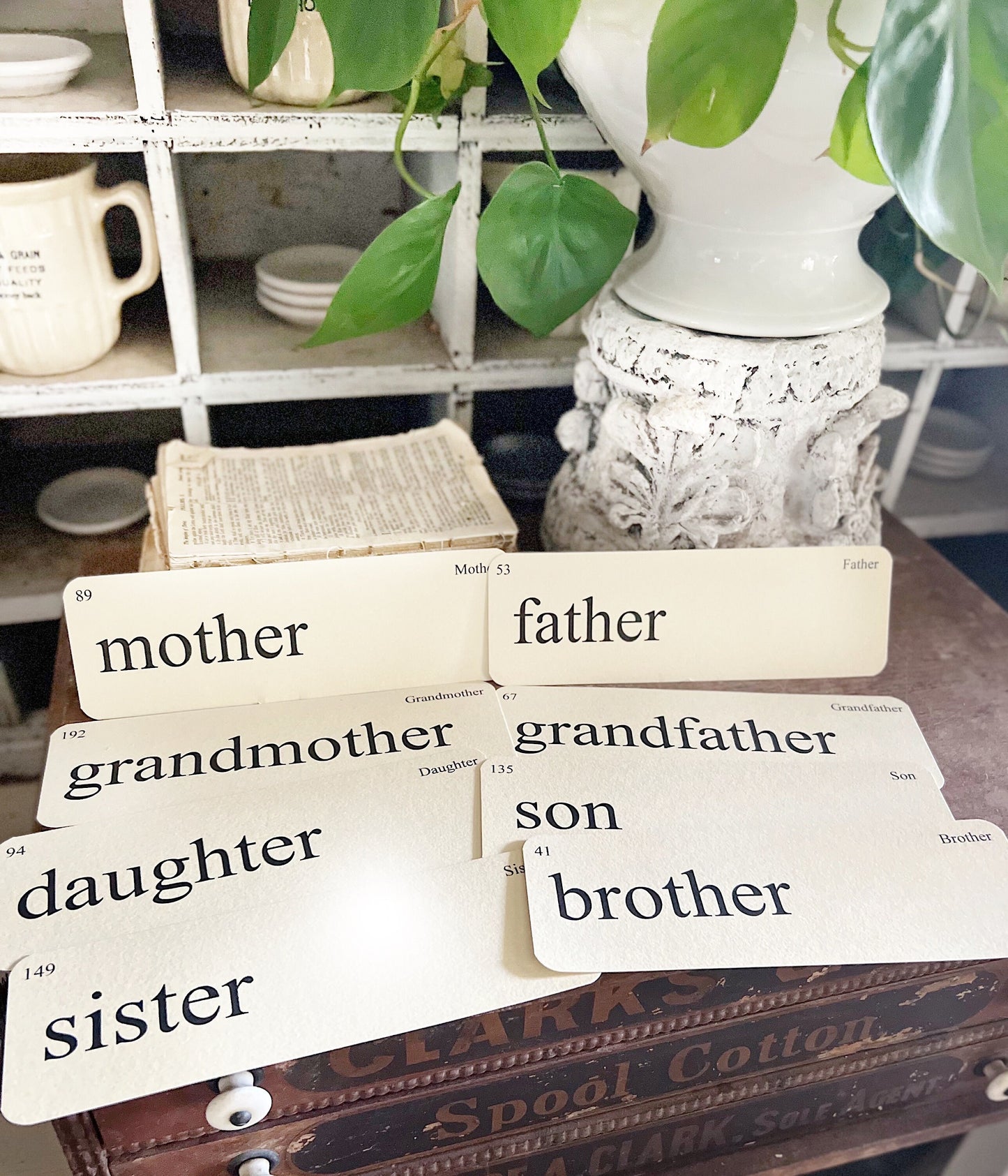 FAMILY Flash Cards LARGE Vintage Inspired Word Flashcard SET Of 8 Farmhouse Spring Decor Party Favor Banner
