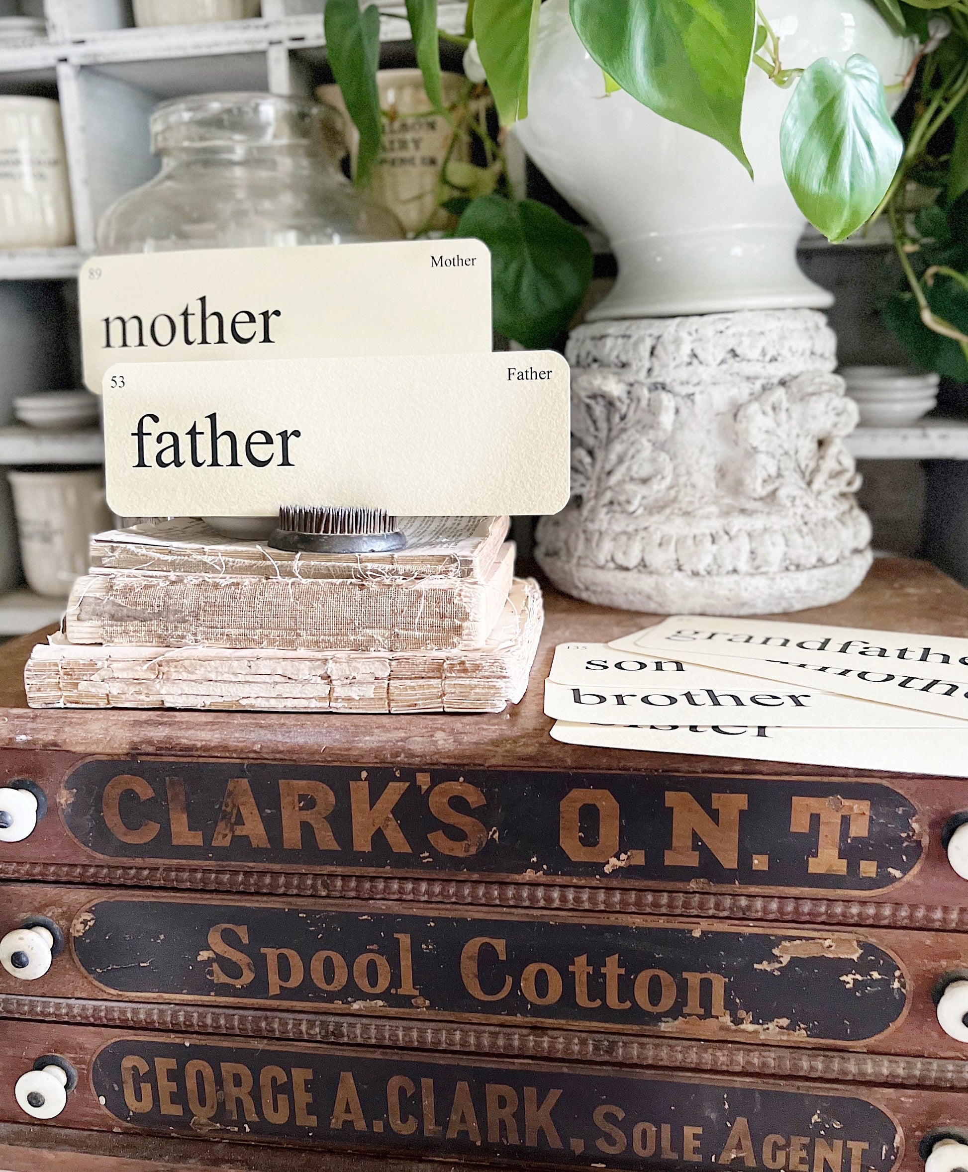 FAMILY Flash Cards LARGE Vintage Inspired Word Flashcard SET Of 8 Farmhouse Spring Decor Party Favor Banner