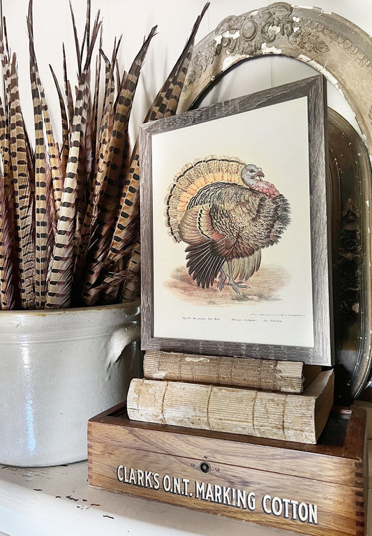 TURKEY Vintage Book Page Sign Wood Frame Primitive Fall Decor Thanksgiving