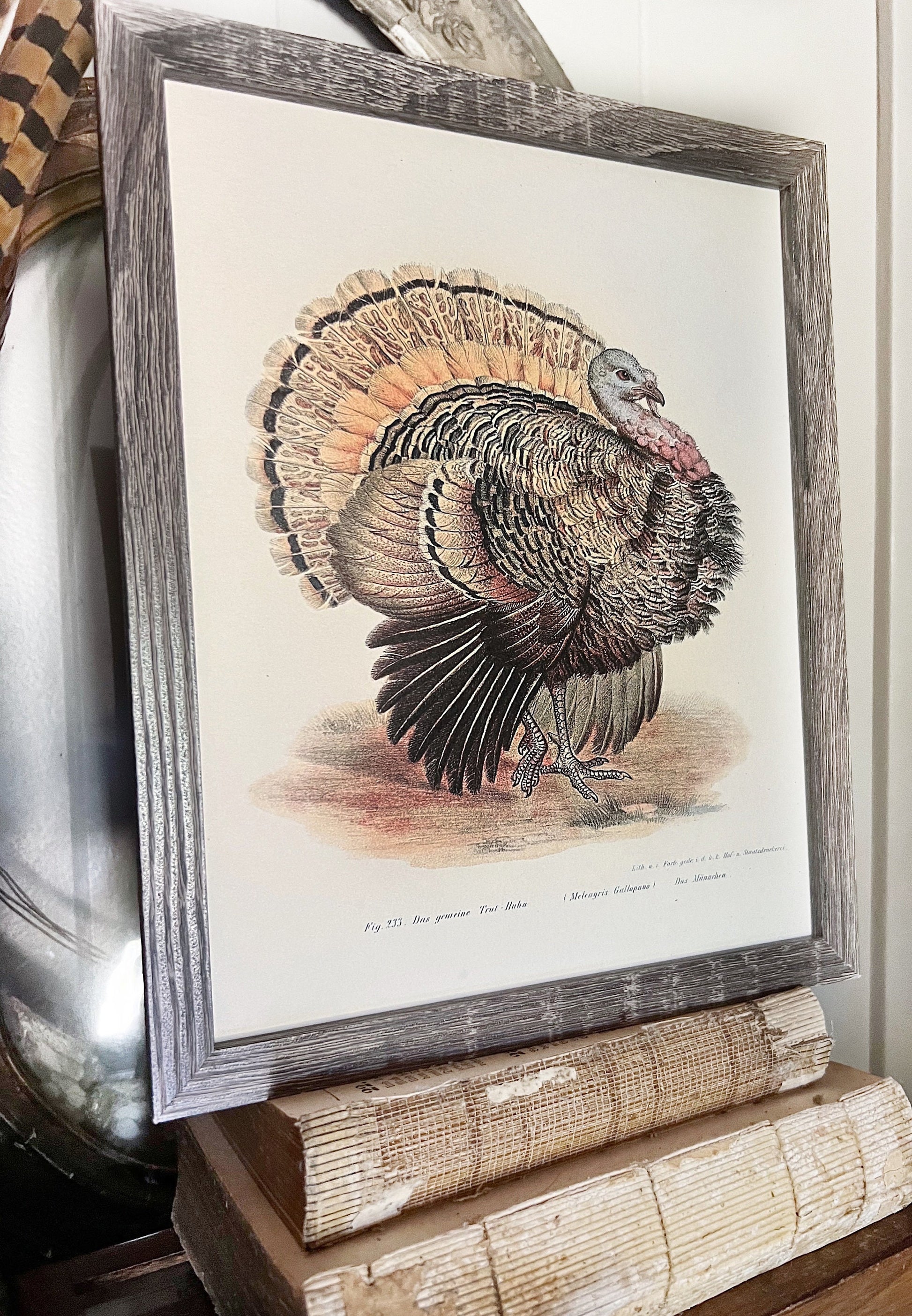 TURKEY Vintage Book Page Sign Wood Frame Primitive Fall Decor Thanksgiving
