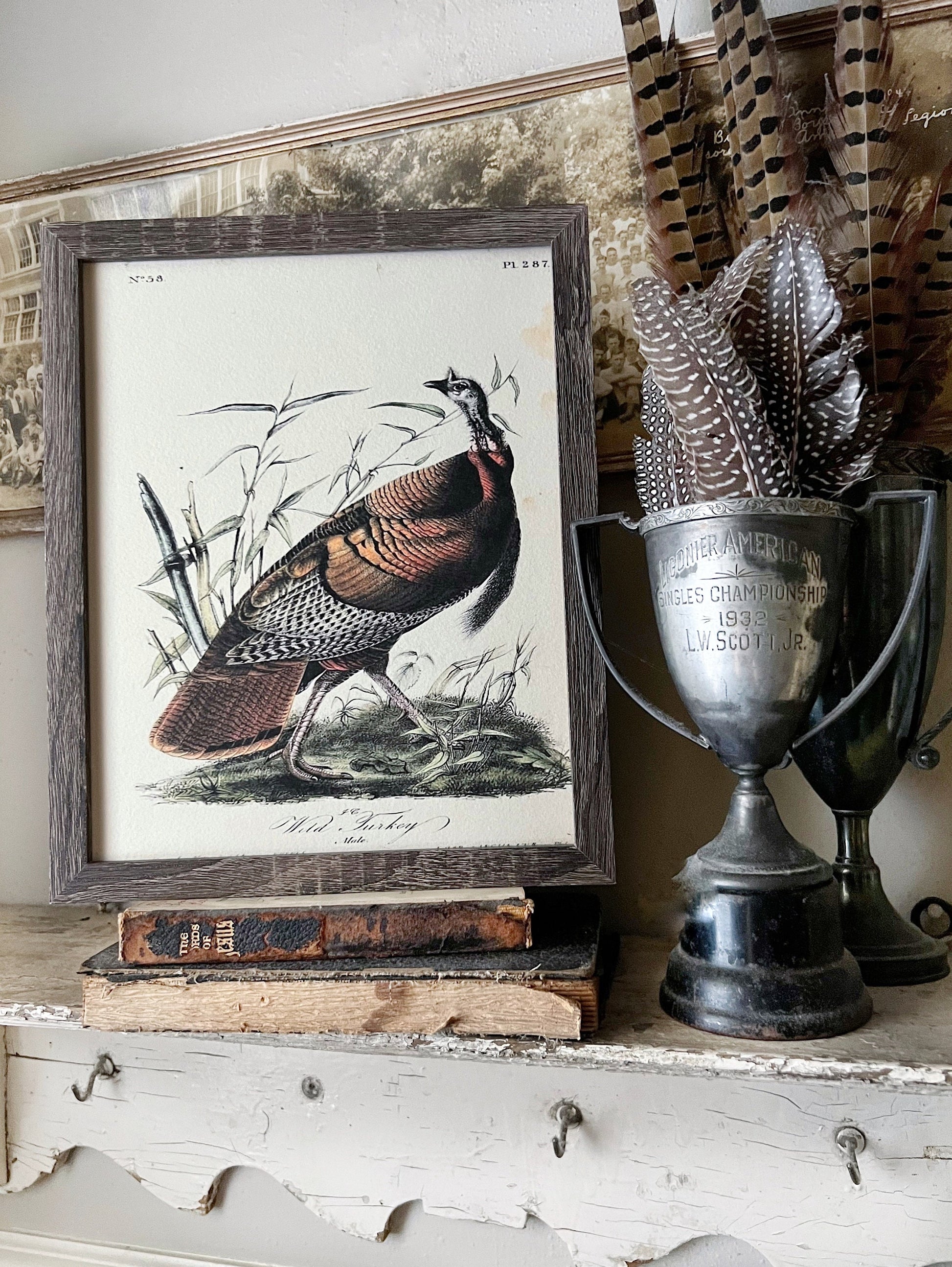 WILD TURKEY MALE Vintage Book Page Sign Wood Frame Primitive Fall Decor Thanksgiving