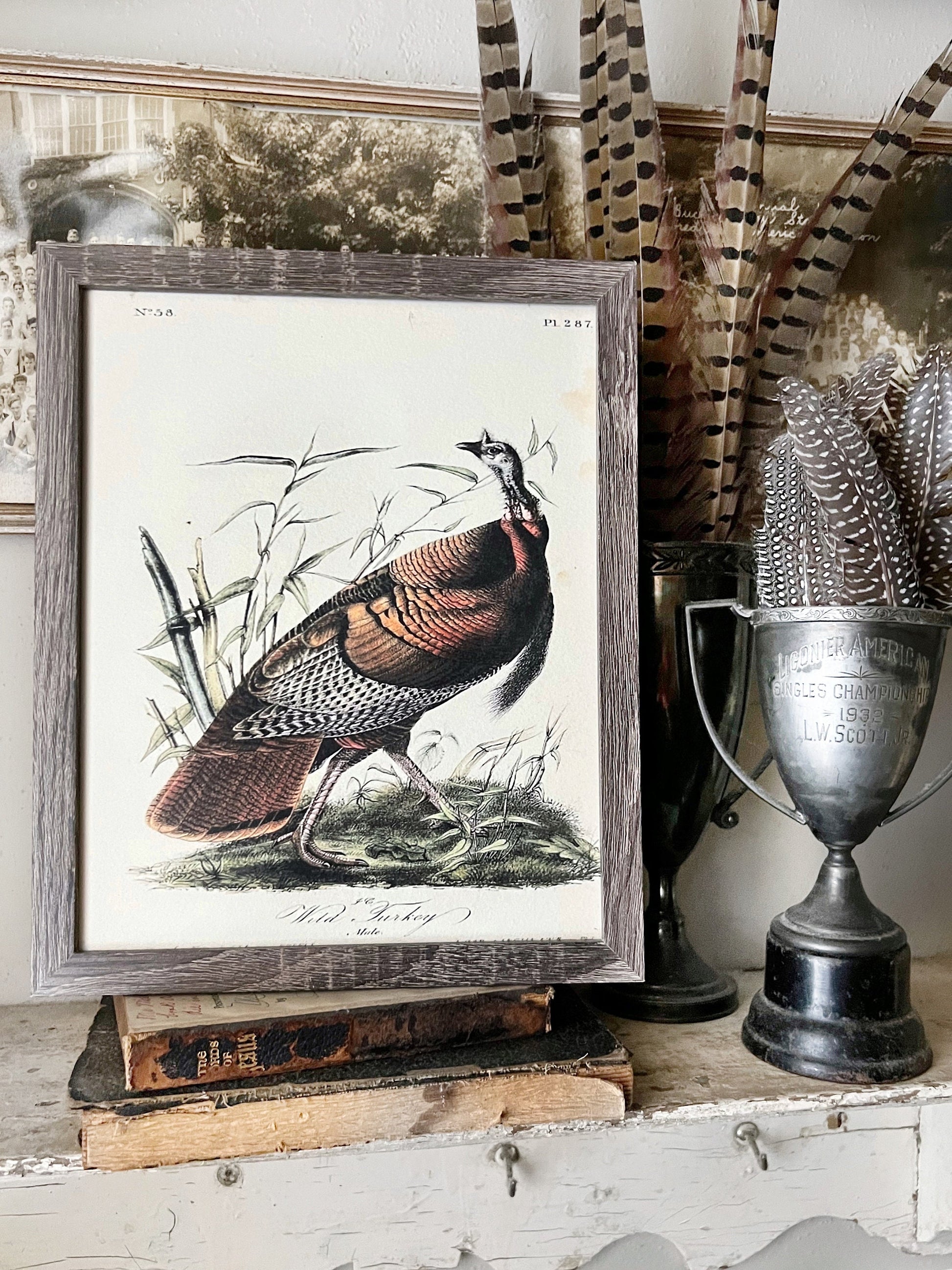 WILD TURKEY MALE Vintage Book Page Sign Wood Frame Primitive Fall Decor Thanksgiving