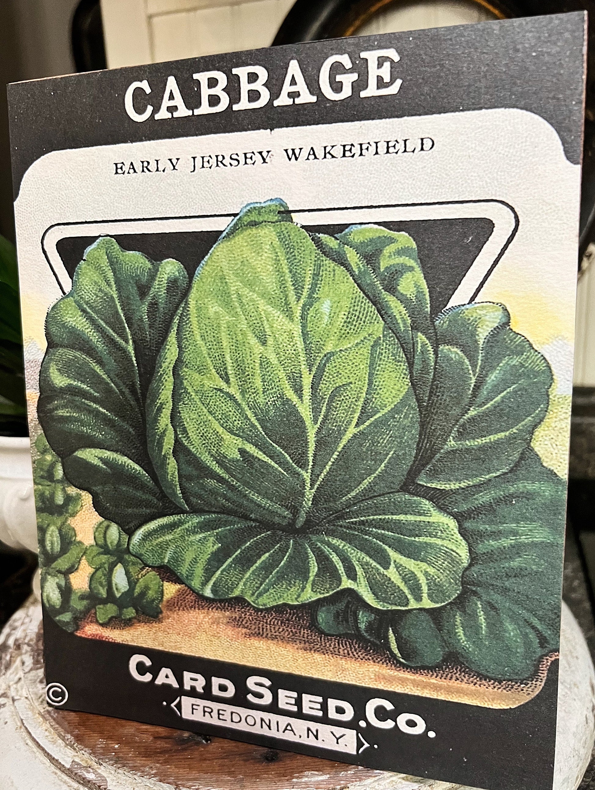 Vintage CABBAGE SEED Pack Print Sign Wood Wall Art Sign Farmhouse Decor Farm Spring Summer Fall Garden