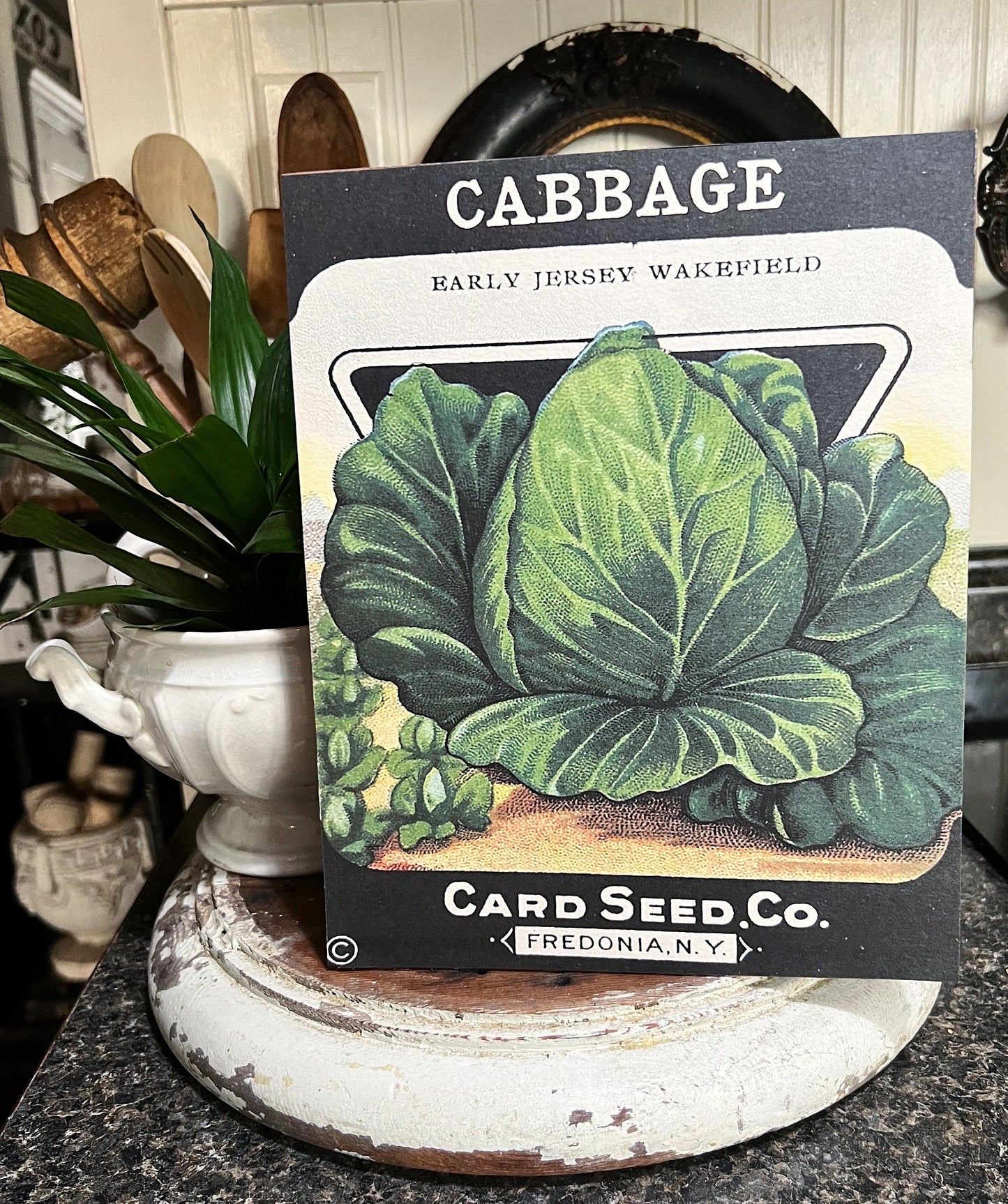 Vintage CABBAGE SEED Pack Print Sign Wood Wall Art Sign Farmhouse Decor Farm Spring Summer Fall Garden