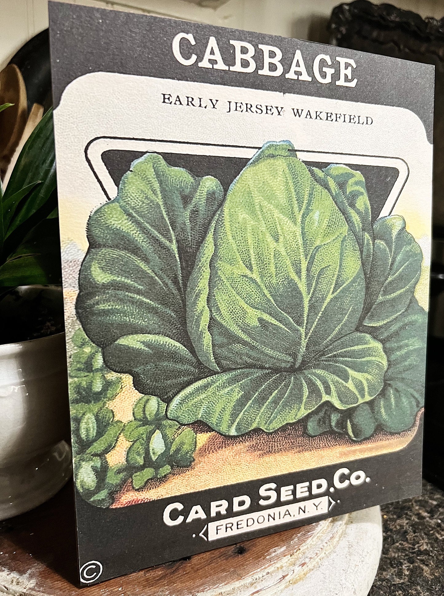 Vintage CABBAGE SEED Pack Print Sign Wood Wall Art Sign Farmhouse Decor Farm Spring Summer Fall Garden
