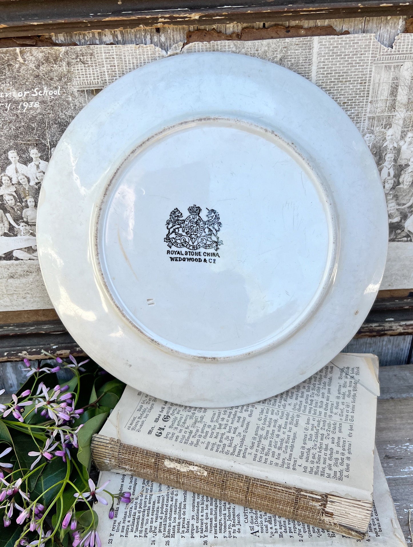 Antique White Ironstone Plate Farmhouse Decor Stained Crazed Grungy England Chunky WEDGEWOOD Royal Stone