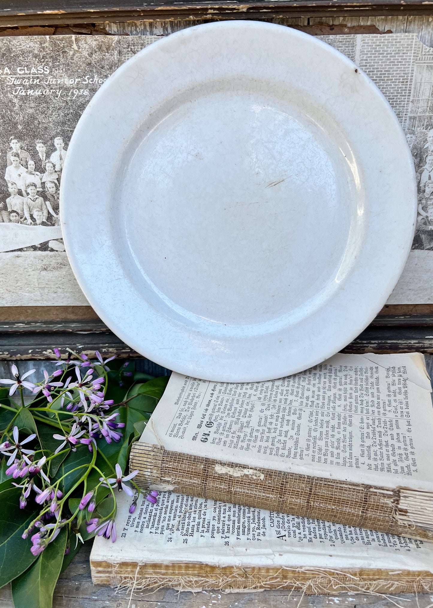 Antique White Ironstone Plate Farmhouse Decor Stained Crazed Grungy England Chunky WEDGEWOOD Royal Stone