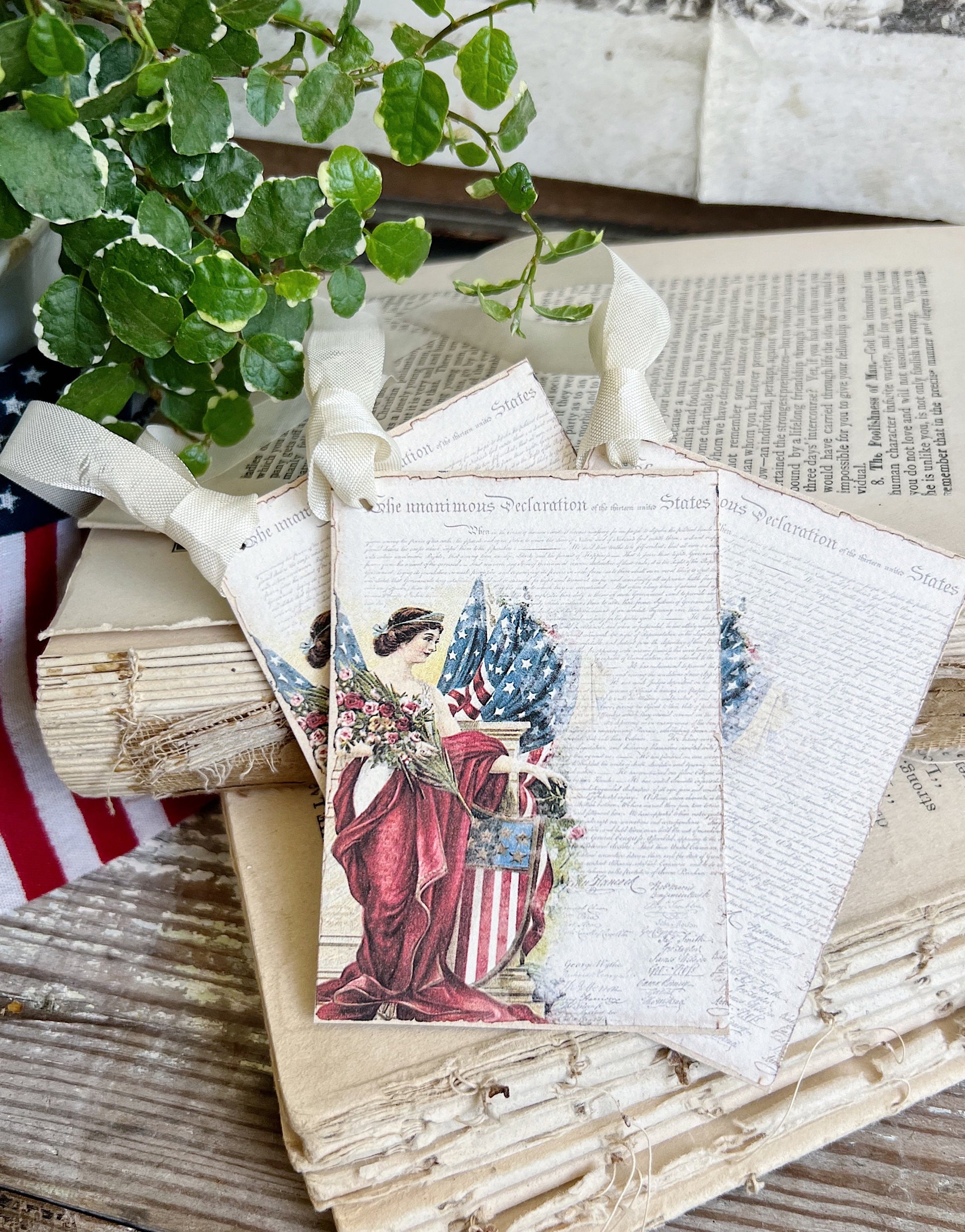 DECLARATION LADY LIBERTY Vintage Gift Tags Americana Fourth July Farmhouse Decor Card Set of 8 usa American Flag