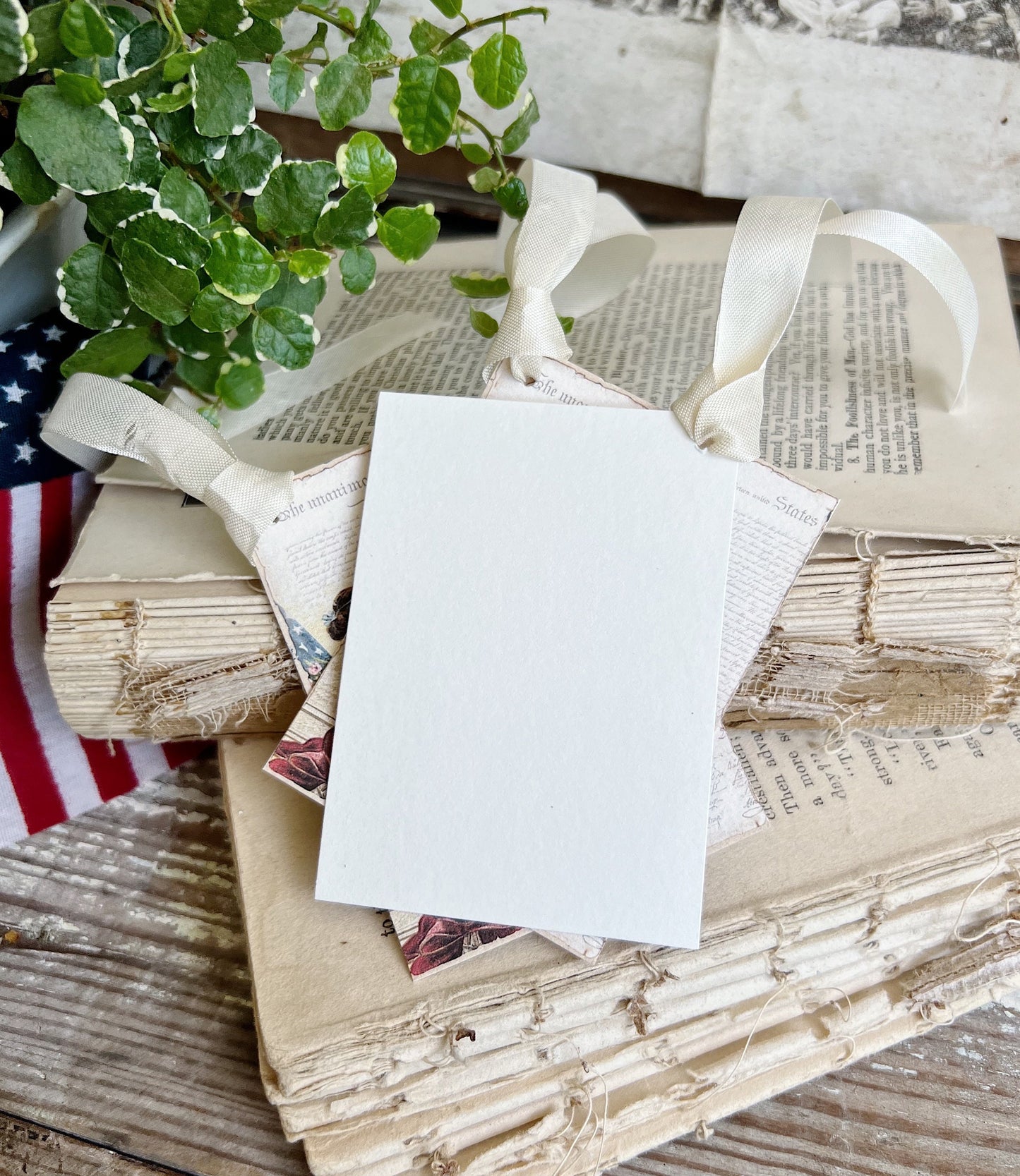 DECLARATION LADY LIBERTY Vintage Gift Tags Americana Fourth July Farmhouse Decor Card Set of 8 usa American Flag