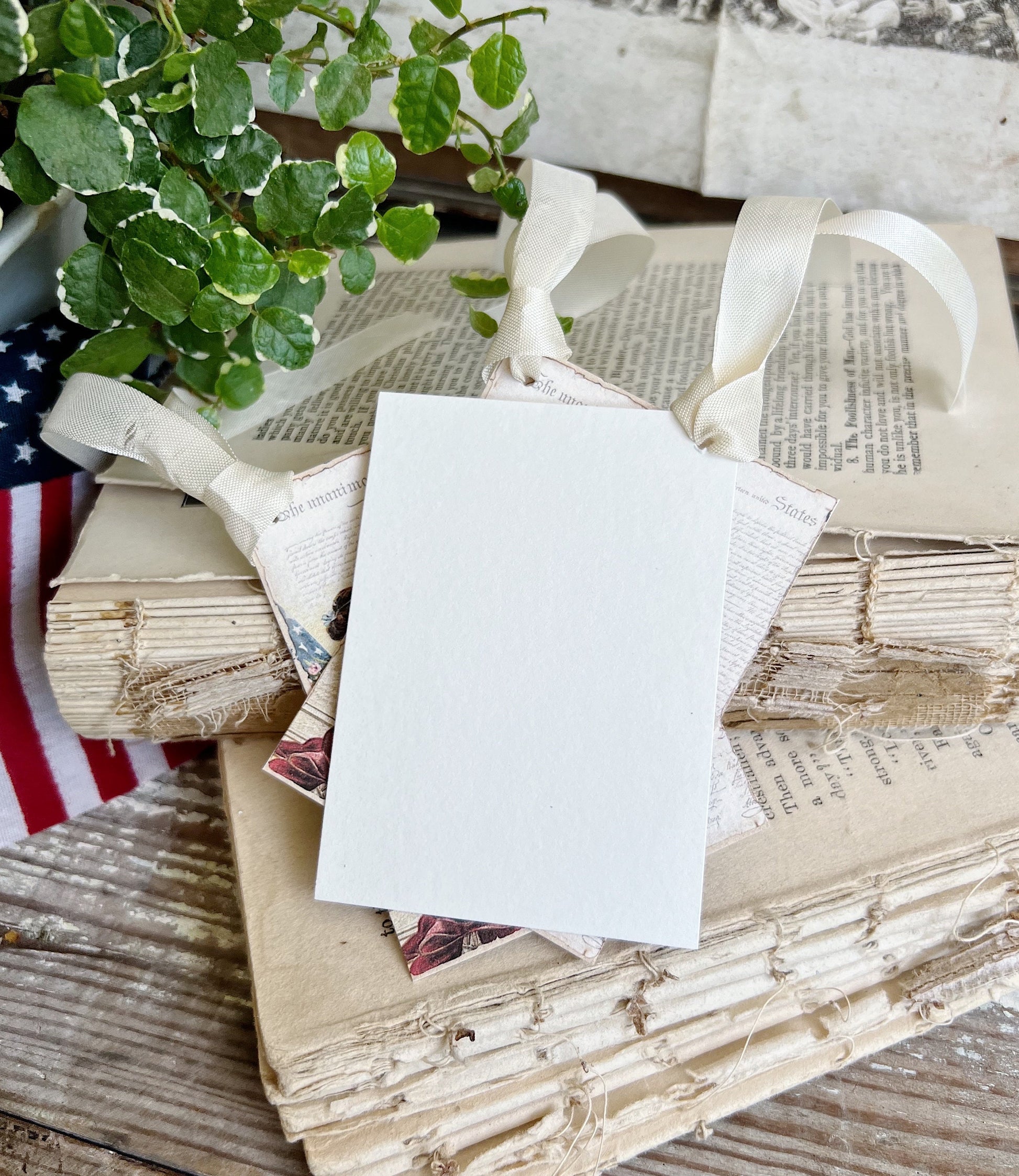 DECLARATION LADY LIBERTY Vintage Gift Tags Americana Fourth July Farmhouse Decor Card Set of 8 usa American Flag