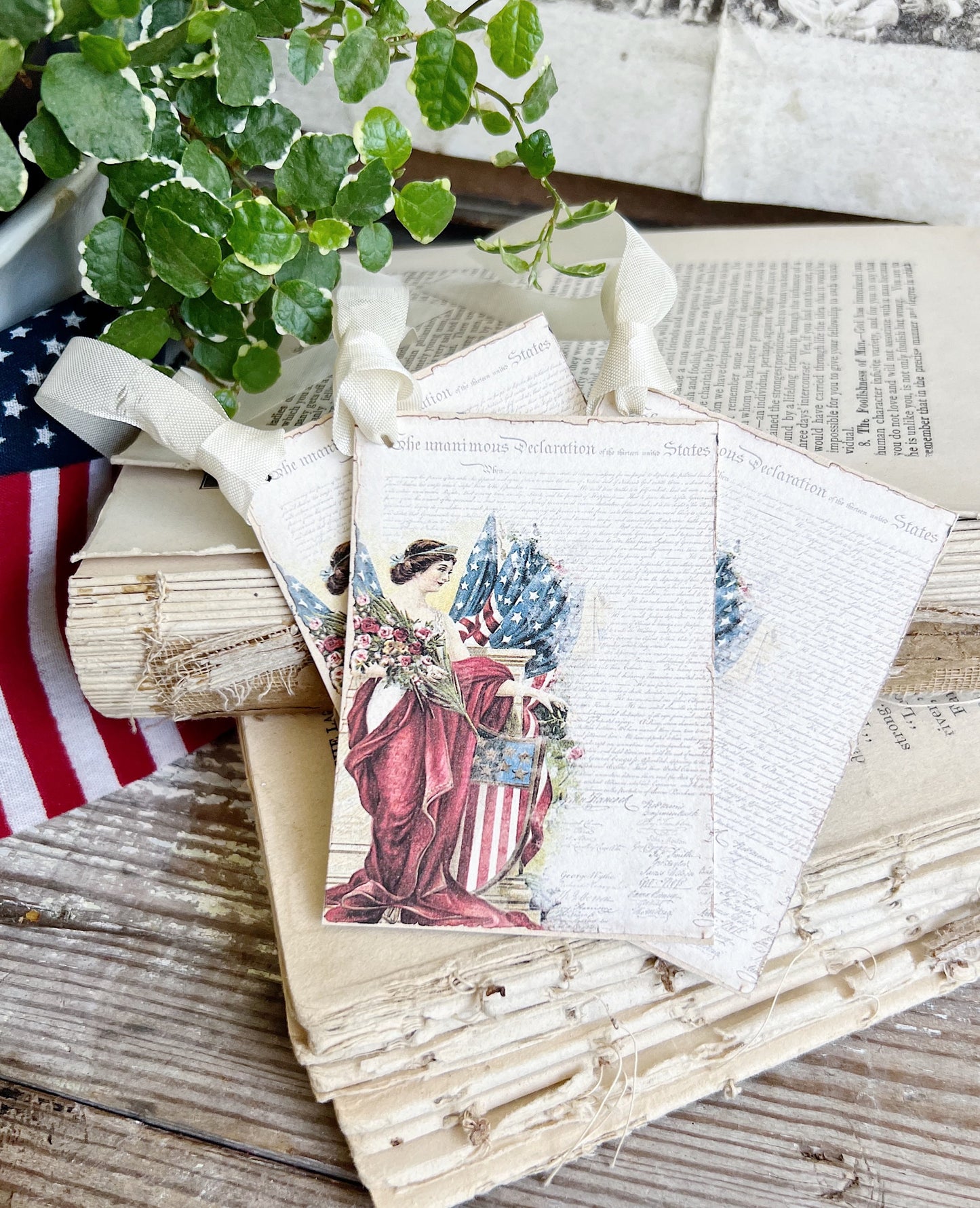 DECLARATION LADY LIBERTY Vintage Gift Tags Americana Fourth July Farmhouse Decor Card Set of 8 usa American Flag