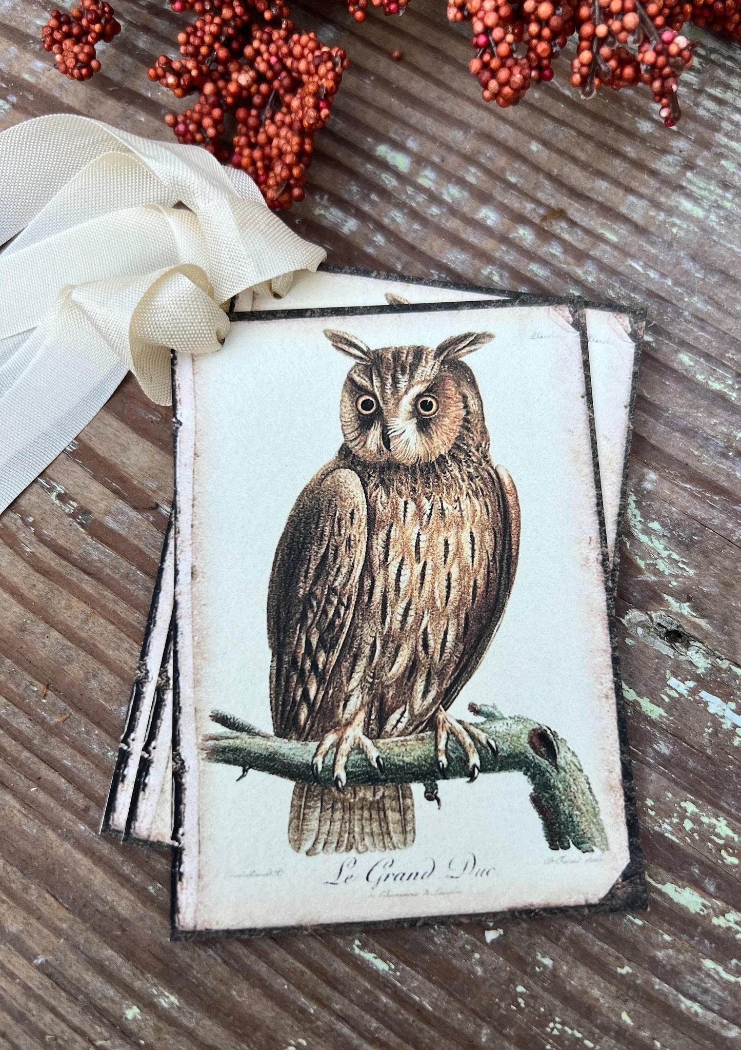 Halloween FALL BROWN OWL Gift Tags Vintage Farmhouse Decor Grungy Party Favor Card Tag