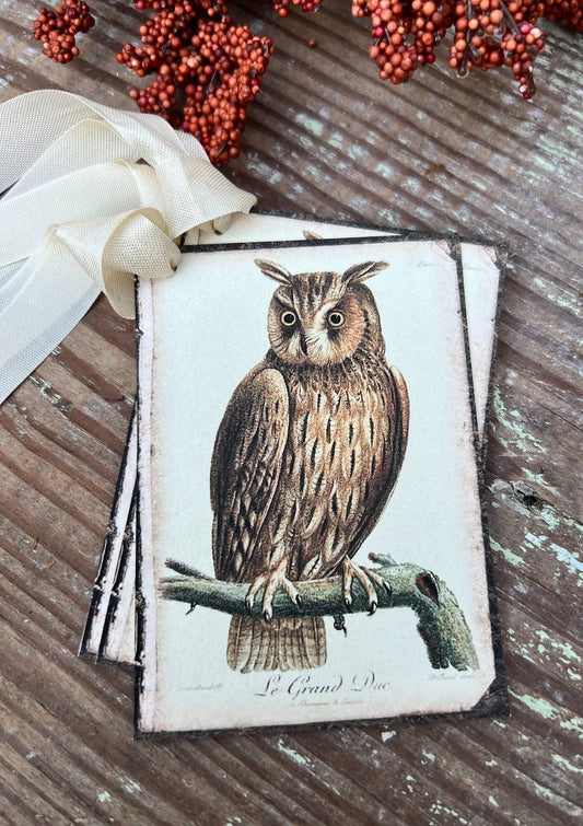 Halloween FALL BROWN OWL Gift Tags Vintage Farmhouse Decor Grungy Party Favor Card Tag