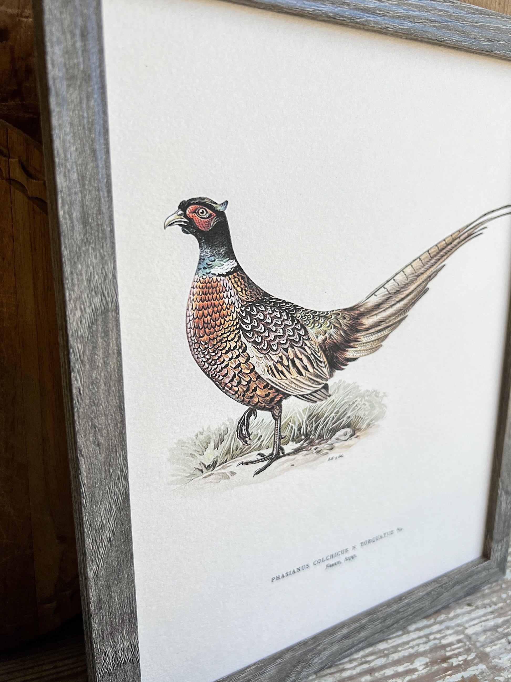PHEASANT RINGTAIL Bird Vintage Book Page Sign Wood Frame Primitive Fall Decor Thanksgiving