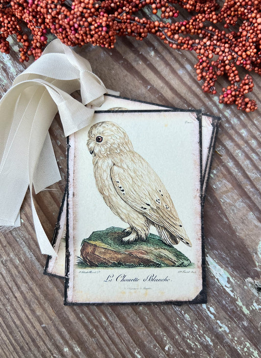 Halloween FALL WHITE OWL Gift Tags Vintage Farmhouse Decor Grungy Party Favor Card Tag