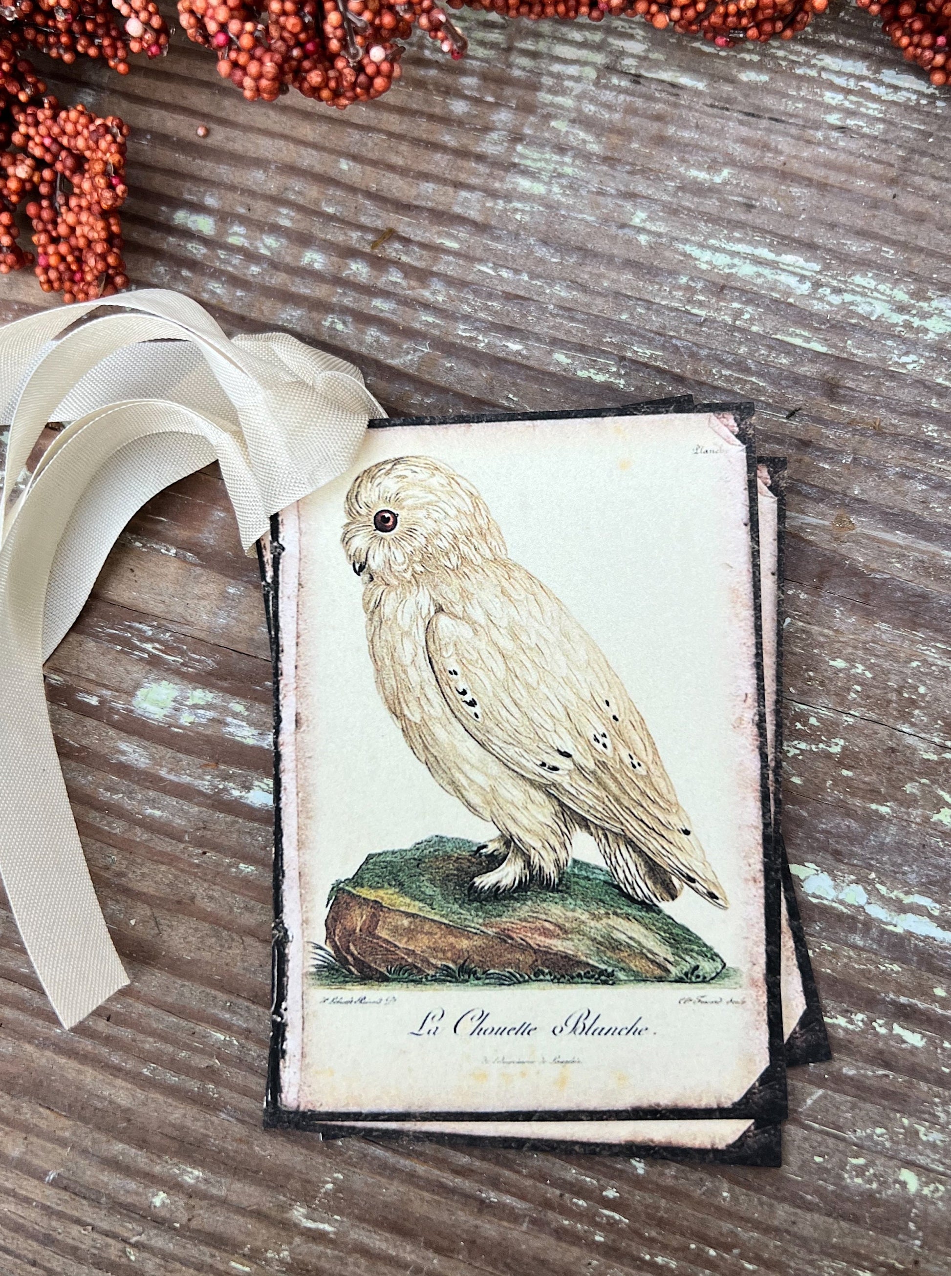 Halloween FALL WHITE OWL Gift Tags Vintage Farmhouse Decor Grungy Party Favor Card Tag