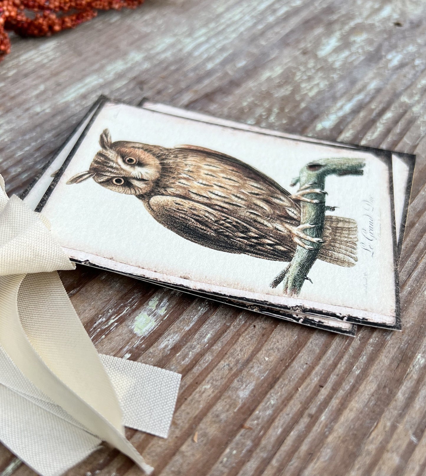 Halloween FALL BROWN OWL Gift Tags Vintage Farmhouse Decor Grungy Party Favor Card Tag