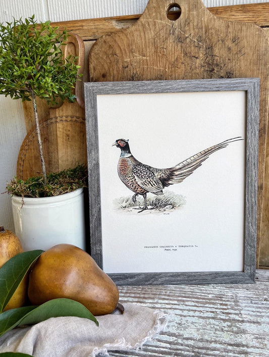 PHEASANT RINGTAIL Bird Vintage Book Page Sign Wood Frame Primitive Fall Decor Thanksgiving