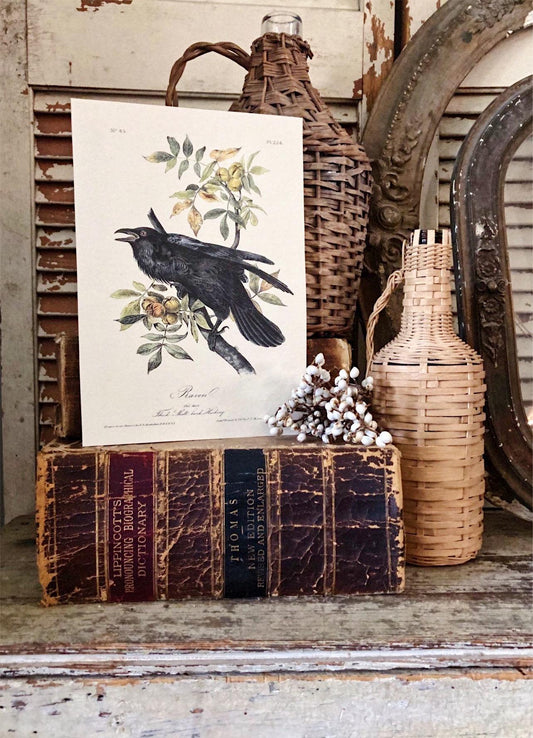 Vintage CROW on Branch Print Sign Wood Wall Art Sign Farmhouse Decor Page Print Raven Blackbird Natural Book History Fall Decor Halloween
