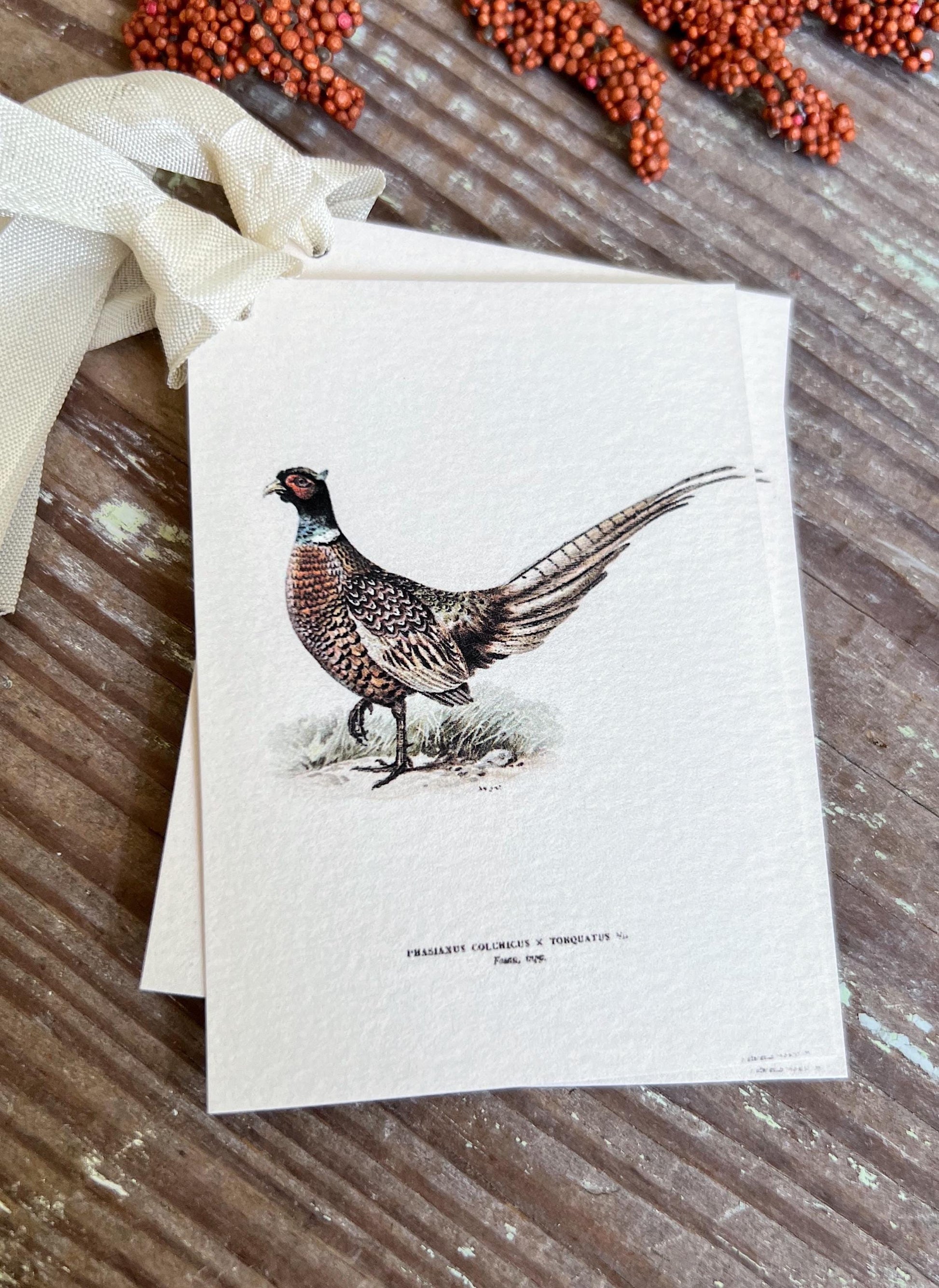 RINGTAIL PHEASANT Gift Tags Vintage Farmhouse Decor Grungy Party Favor Card Tag Halloween FALL Botanical