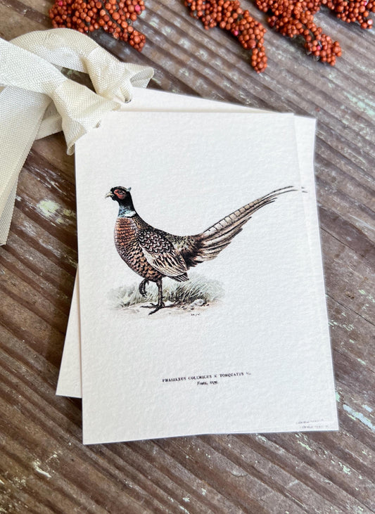 RINGTAIL PHEASANT Gift Tags Vintage Farmhouse Decor Grungy Party Favor Card Tag Halloween FALL Botanical