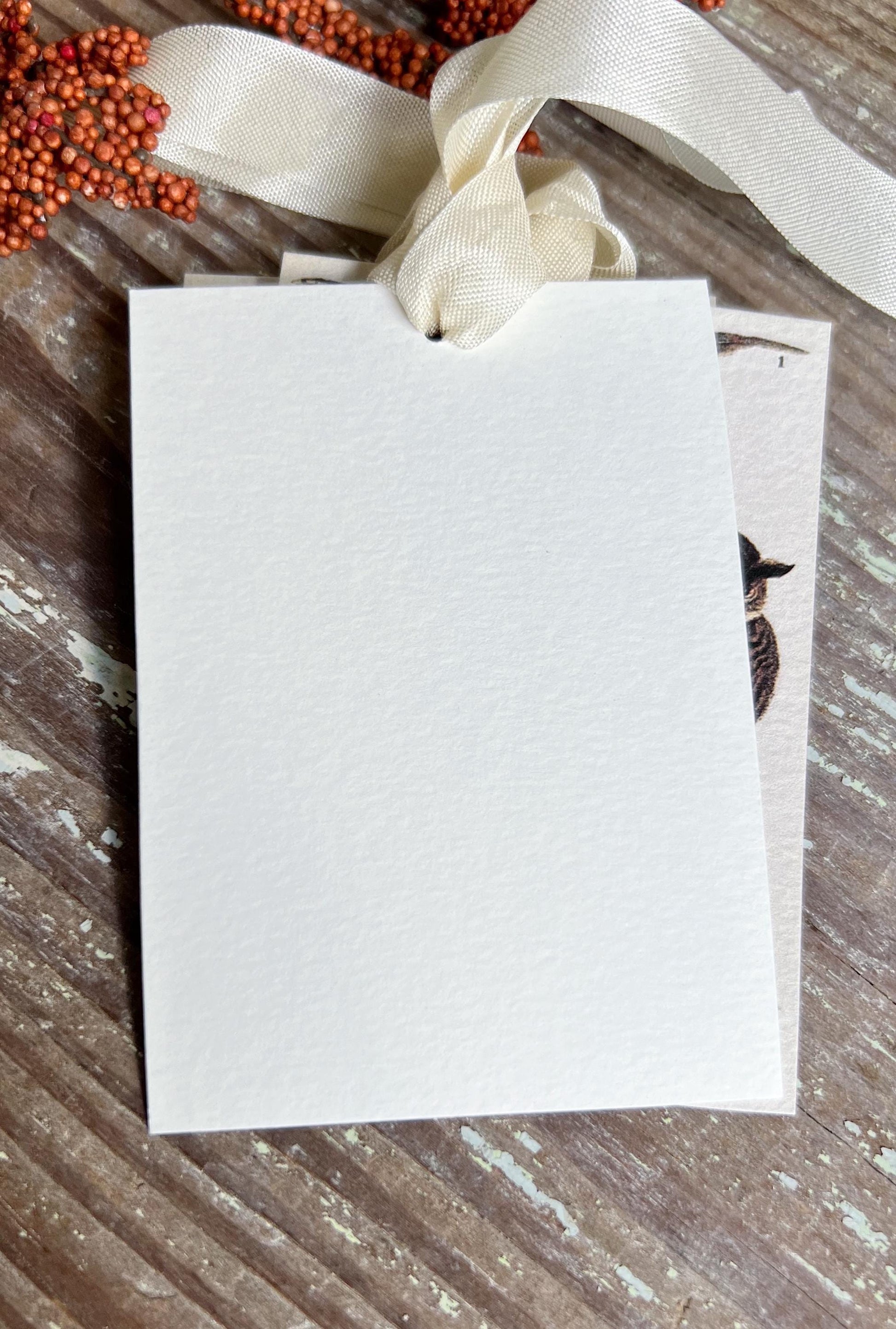 RINGTAIL PHEASANT Gift Tags Vintage Farmhouse Decor Grungy Party Favor Card Tag Halloween FALL Botanical