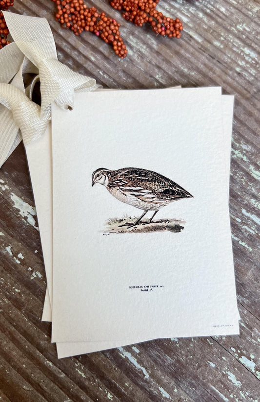 QUAIL Gift Tags Vintage Farmhouse Decor Grungy Party Favor Card Tag Halloween FALL Botanical