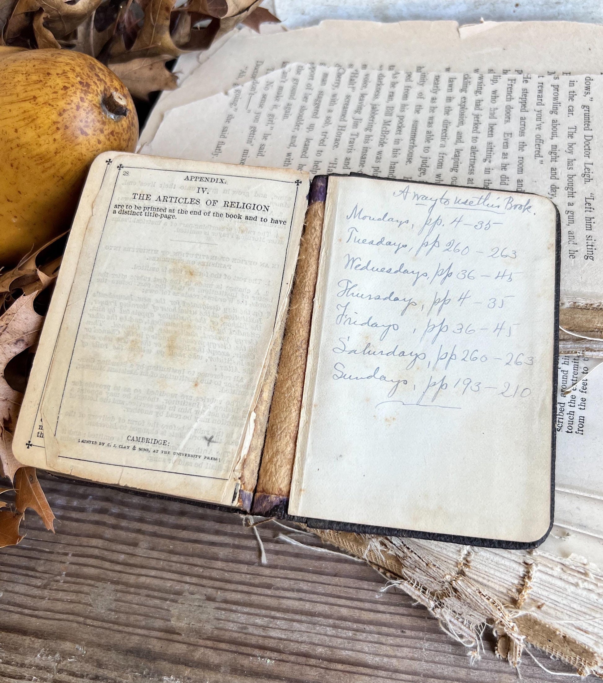 Antique COMMON PRAYER BOOK Inspirational Book Bible Devotional Ephemera Farmhouse Church Salvage Decor 1886