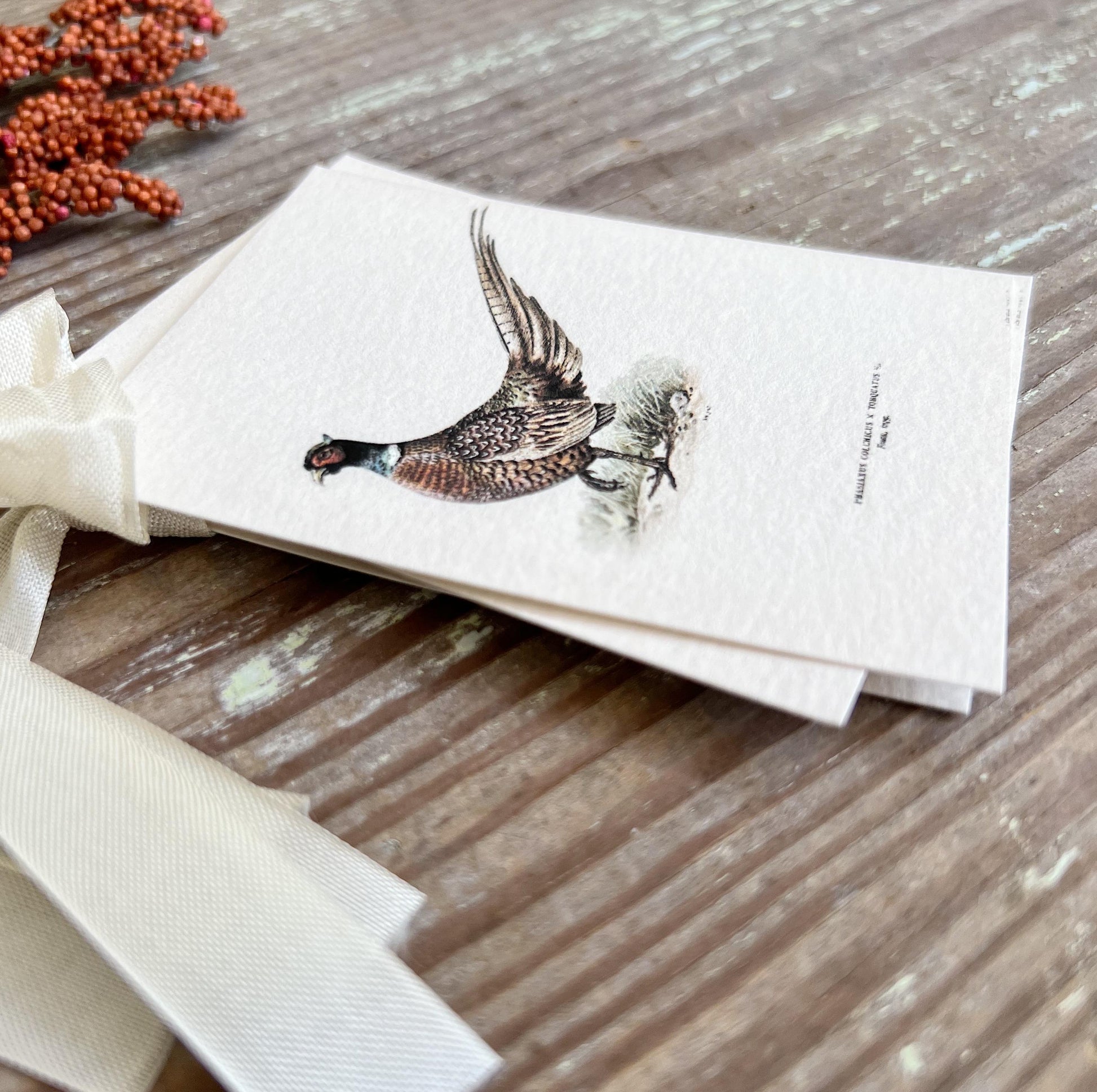 RINGTAIL PHEASANT Gift Tags Vintage Farmhouse Decor Grungy Party Favor Card Tag Halloween FALL Botanical