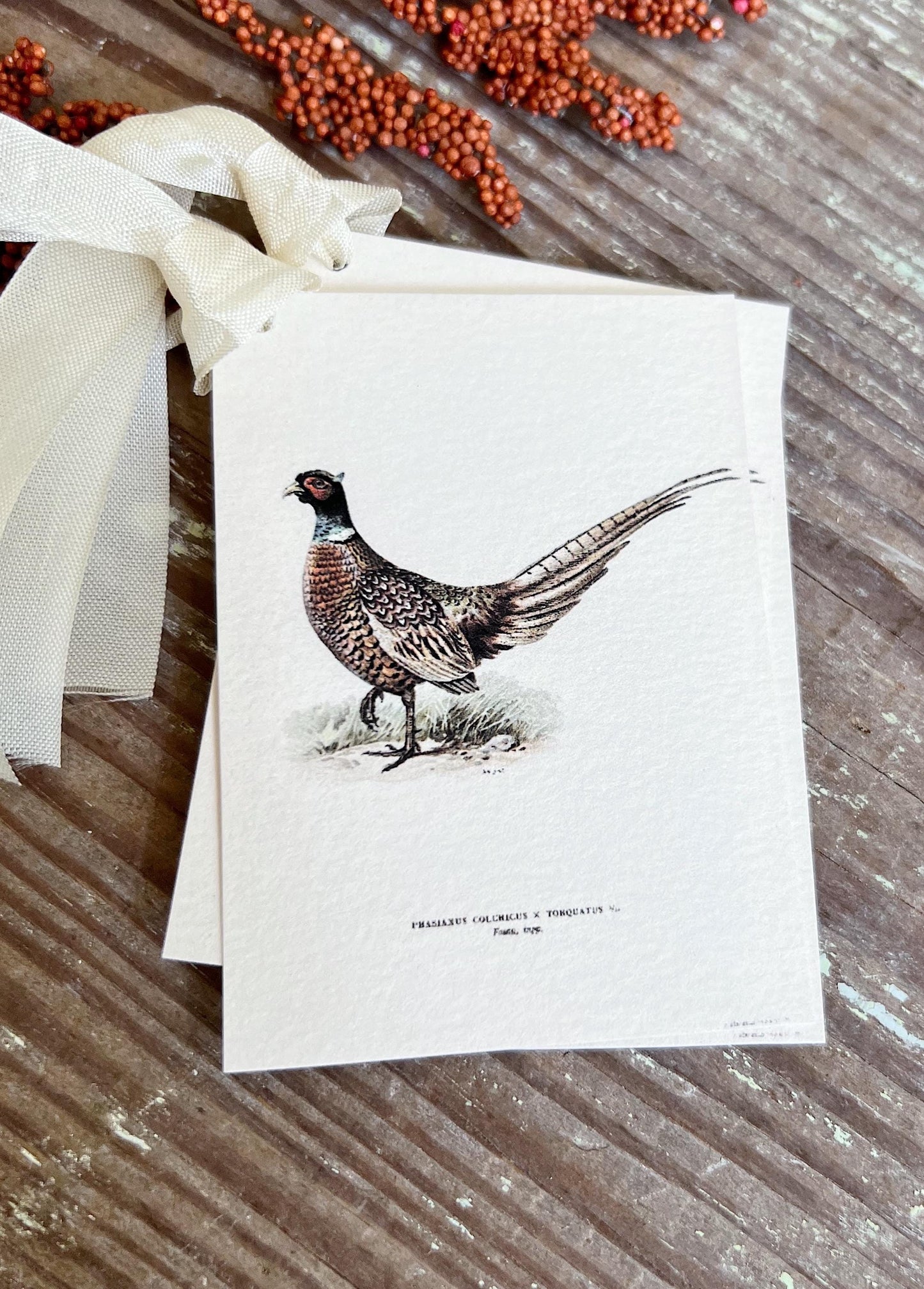 RINGTAIL PHEASANT Gift Tags Vintage Farmhouse Decor Grungy Party Favor Card Tag Halloween FALL Botanical