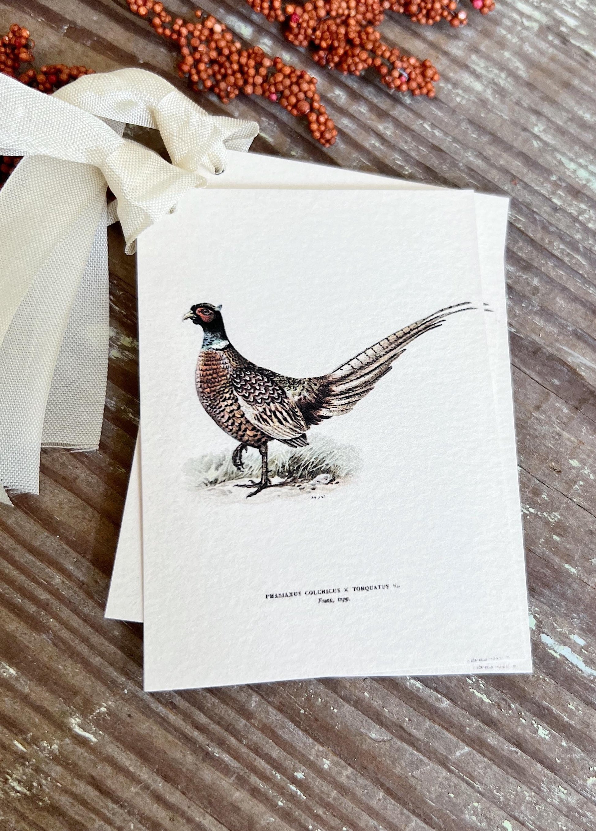 RINGTAIL PHEASANT Gift Tags Vintage Farmhouse Decor Grungy Party Favor Card Tag Halloween FALL Botanical