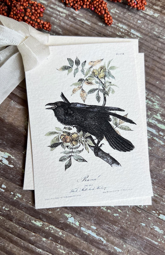 RAVEN CROW On Branch Gift Tags Vintage Farmhouse Decor Grungy Party Favor Card Tag Halloween FALL Botanical