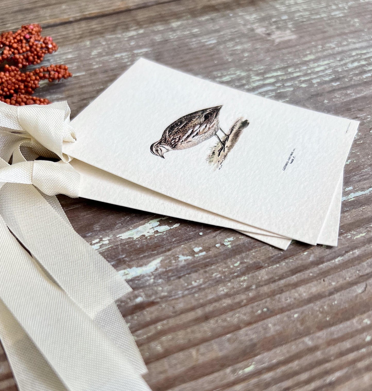 QUAIL Gift Tags Vintage Farmhouse Decor Grungy Party Favor Card Tag Halloween FALL Botanical