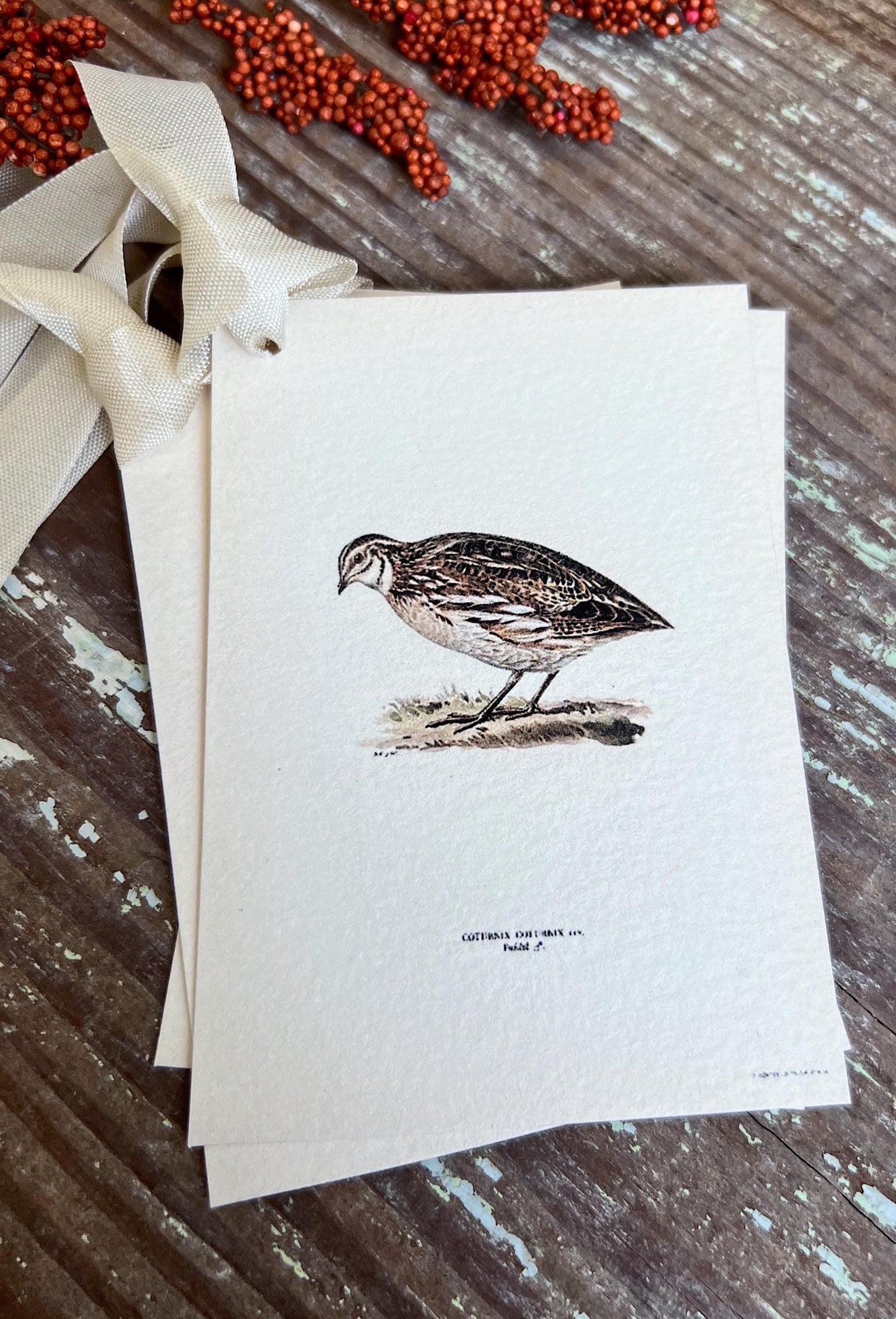 QUAIL Gift Tags Vintage Farmhouse Decor Grungy Party Favor Card Tag Halloween FALL Botanical