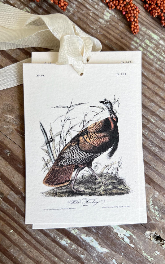 TURKEY Gift Tags Vintage Farmhouse Decor Grungy Party Favor Card Tag Halloween FALL Botanical Tablescape