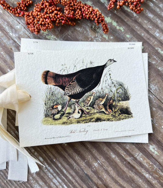 TURKEY Female Gift Tags Vintage Farmhouse Decor Grungy Party Favor Card Tag Halloween FALL Botanical Tablescape