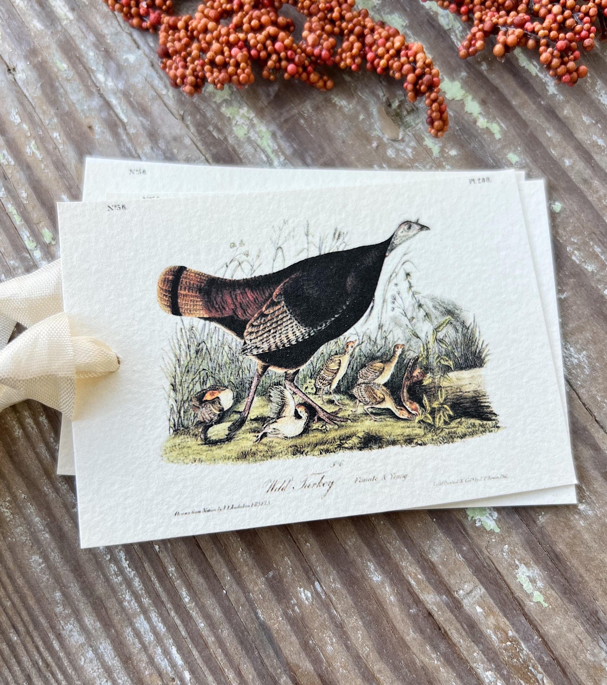 TURKEY Female Gift Tags Vintage Farmhouse Decor Grungy Party Favor Card Tag Halloween FALL Botanical Tablescape