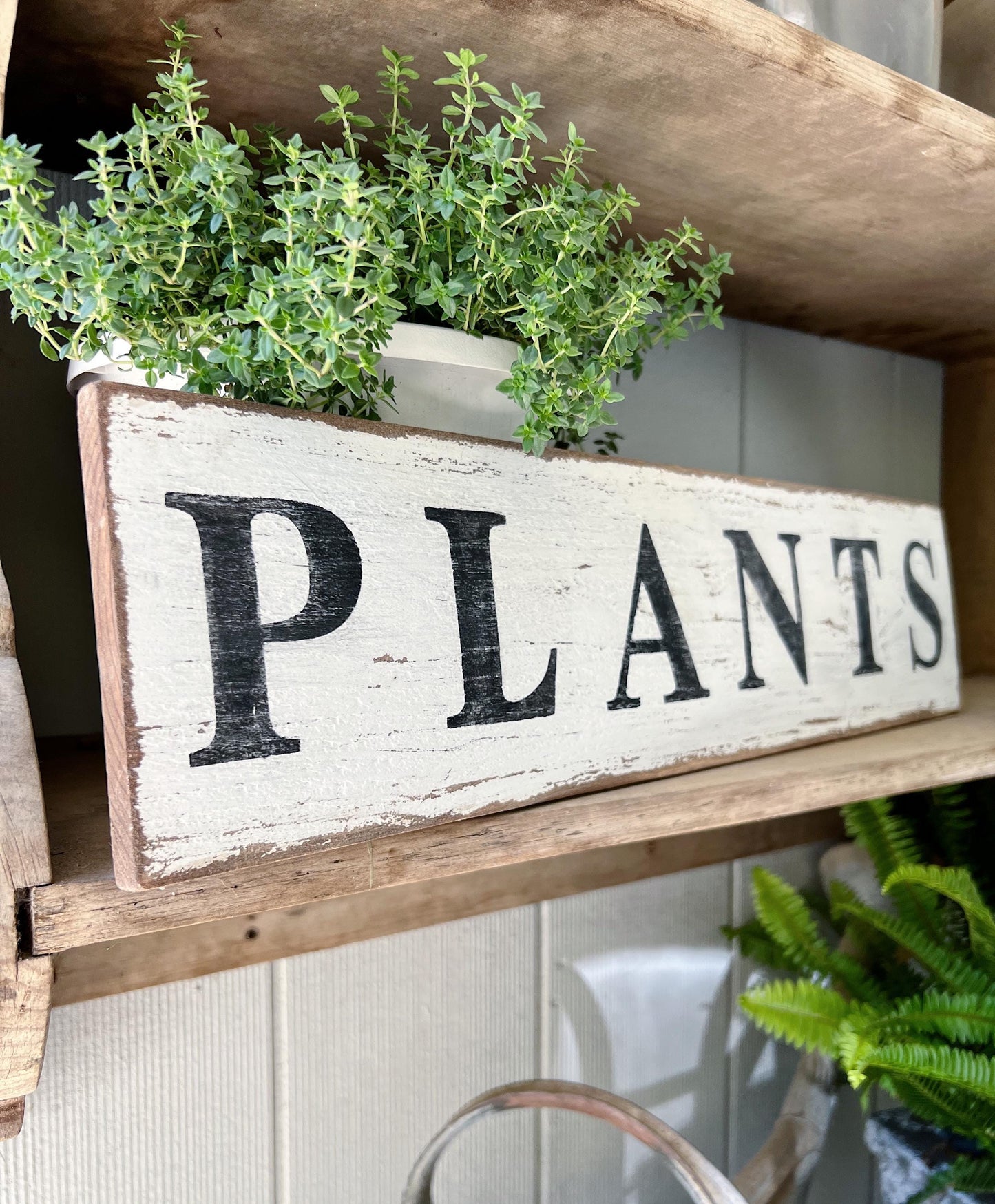 PLANTS Sign Salvage Barn Wood Farmhouse Decor Reclaimed White Chippy Paint French Country Architectural Painted Rustic Wall Sign