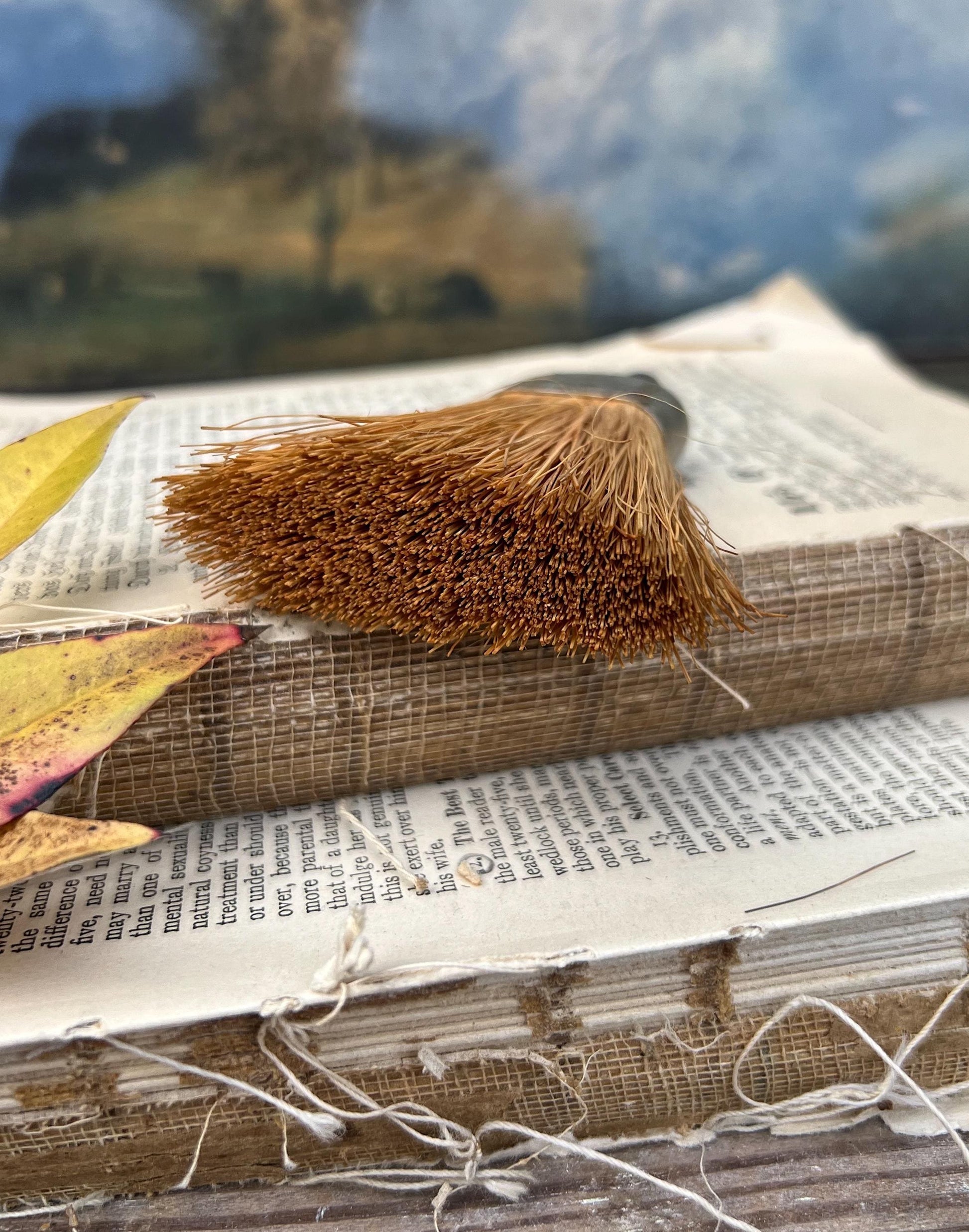 Antique Silver Whisk Crumb Broom Hand Straw Brush Farmhouse Decor Vintage Broom