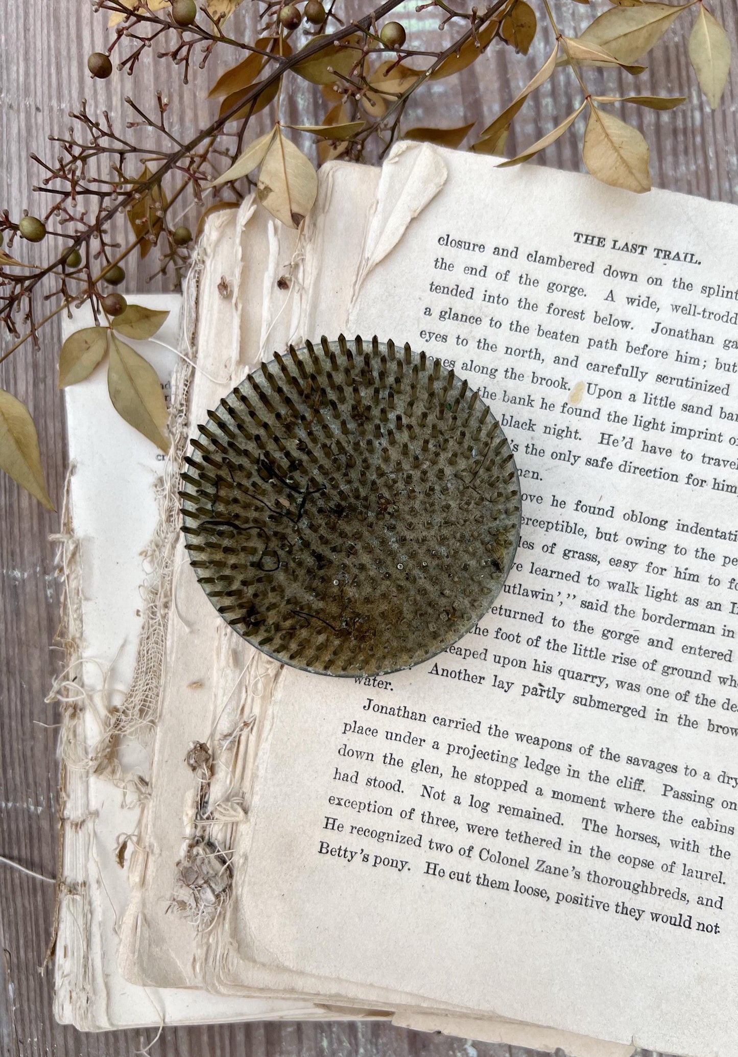 Vintage Floral Frog Large Antique Flower Spike Photo Display Farmhouse Decor Garden Industrial Salvage