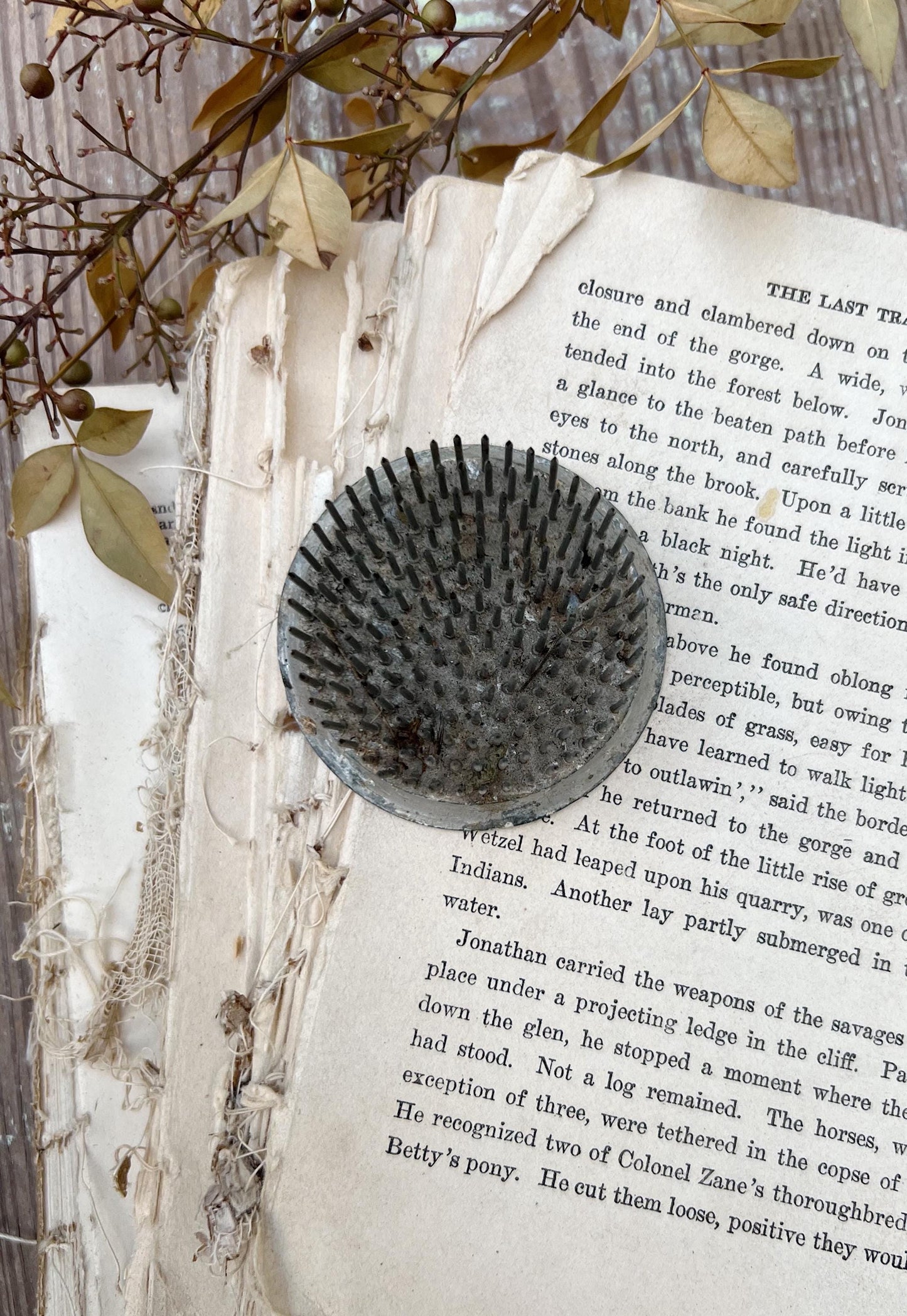 Vintage Floral Frog Large Antique Flower Spike Photo Display Farmhouse Decor Garden Industrial Salvage