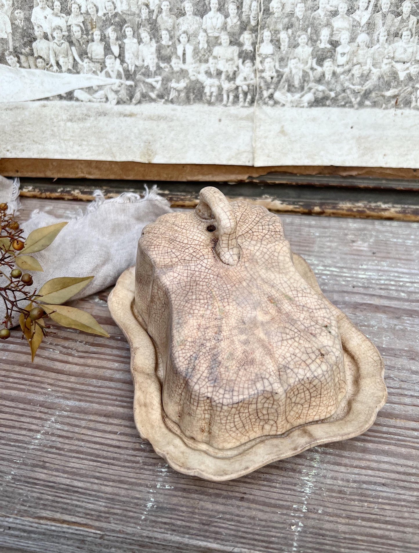 Antique White Ironstone Cheese Cover Dome Lid With Platter Stained Crazed Hanley England