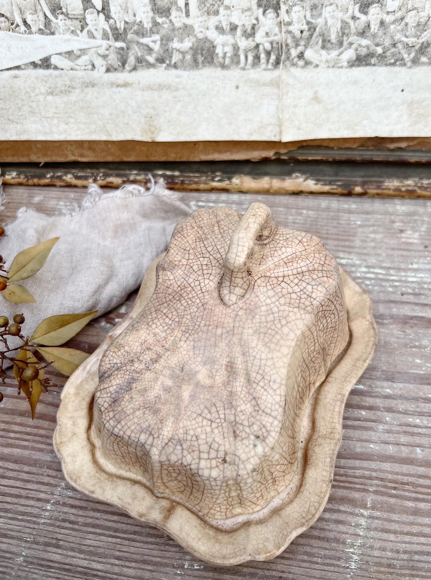 Antique White Ironstone Cheese Cover Dome Lid With Platter Stained Crazed Hanley England
