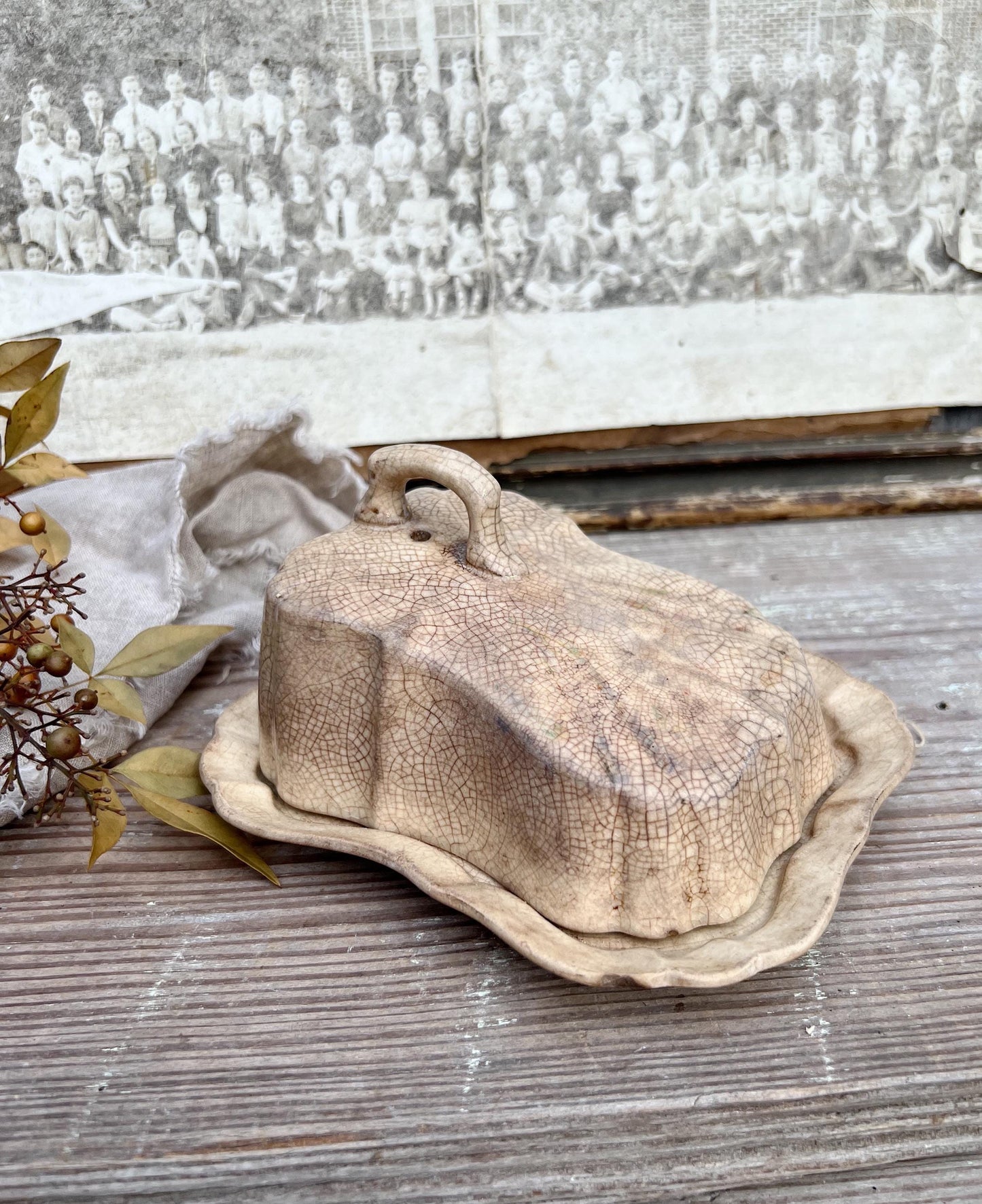 Antique White Ironstone Cheese Cover Dome Lid With Platter Stained Crazed Hanley England