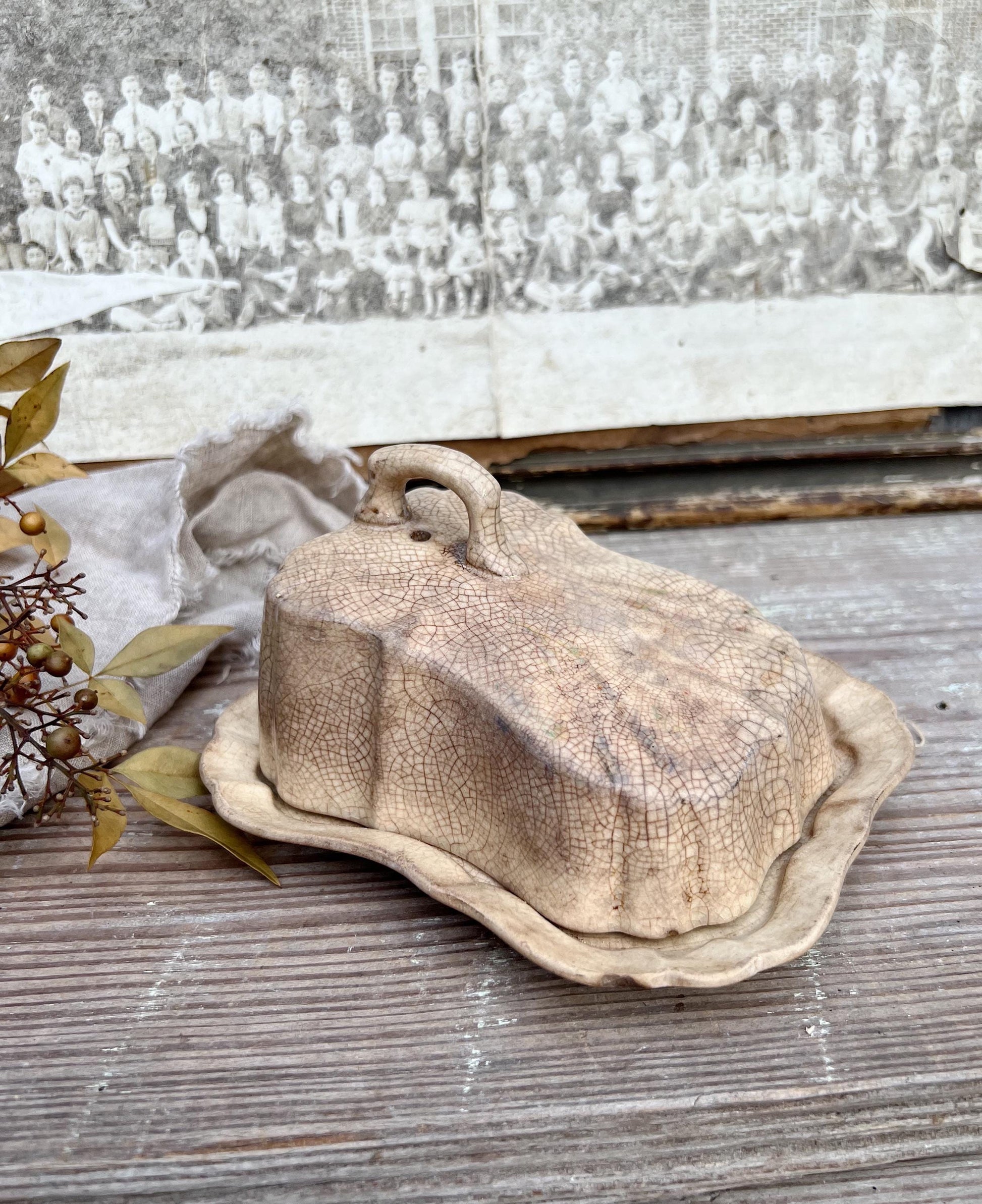 Antique White Ironstone Cheese Cover Dome Lid With Platter Stained Crazed Hanley England
