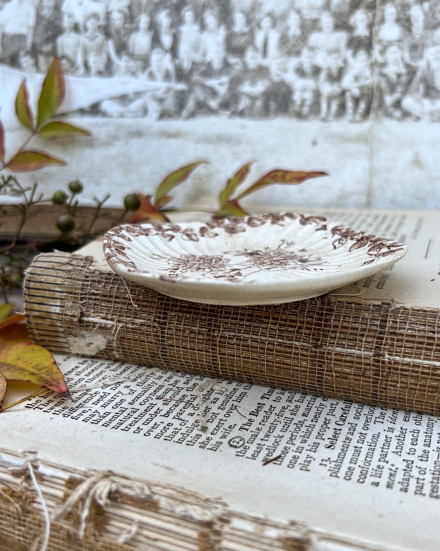 Antique SQUARE White Ironstone Butter Pat BROWN Transferware Floral Farmhouse Decor IVORY